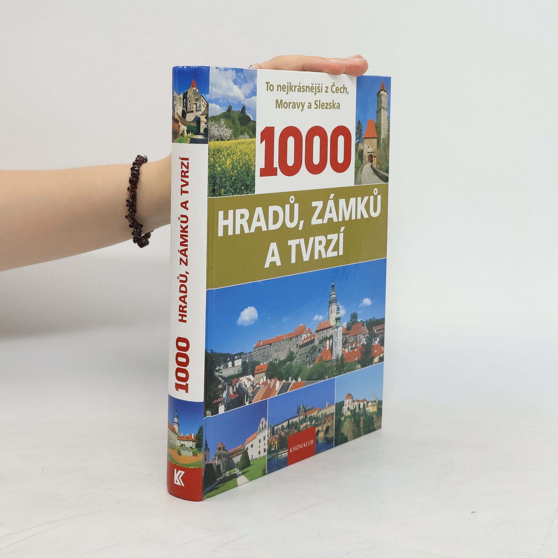 P. David 1000 hradů, zámků a tvrzí