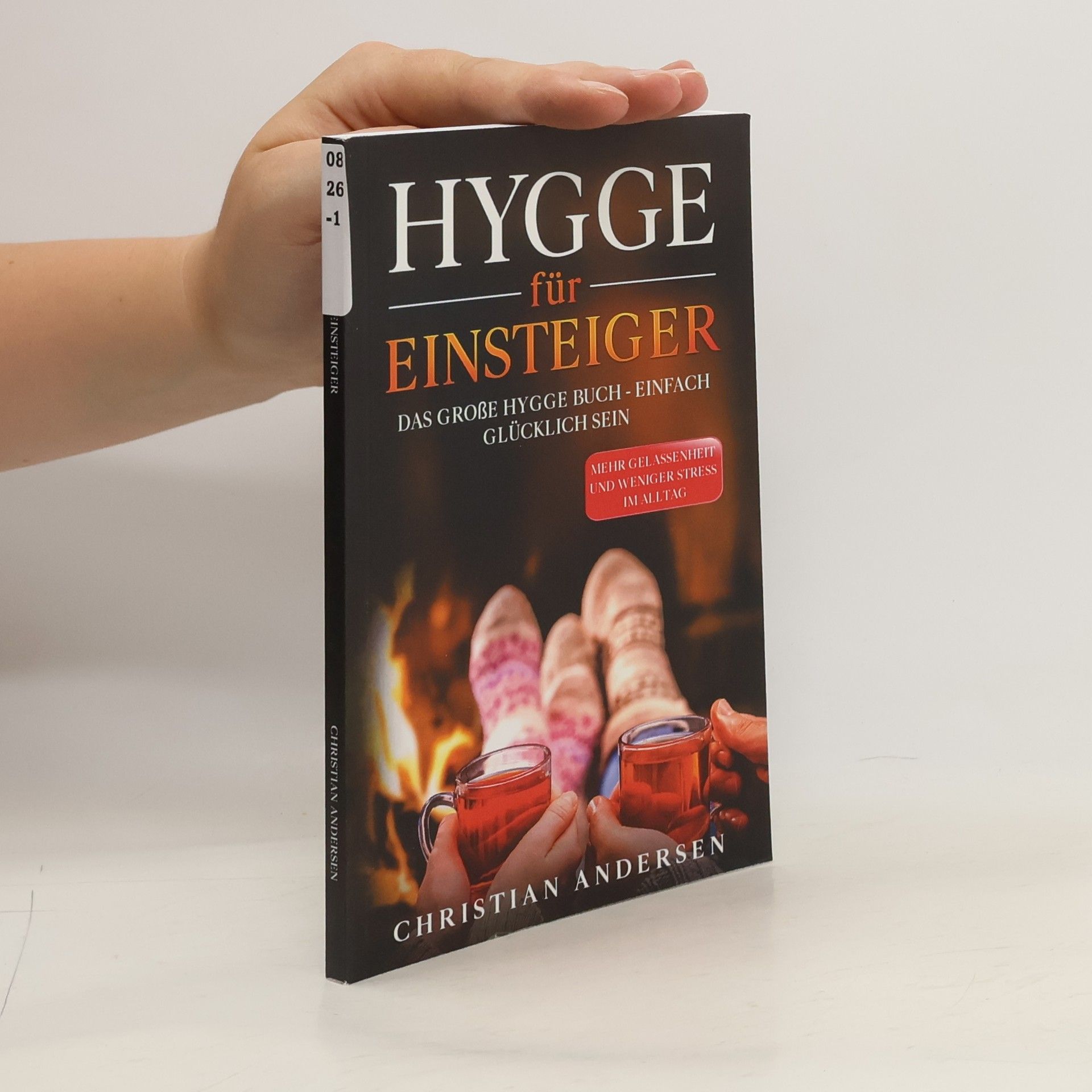 Jan Christian Andersen Hygge für Einsteiger