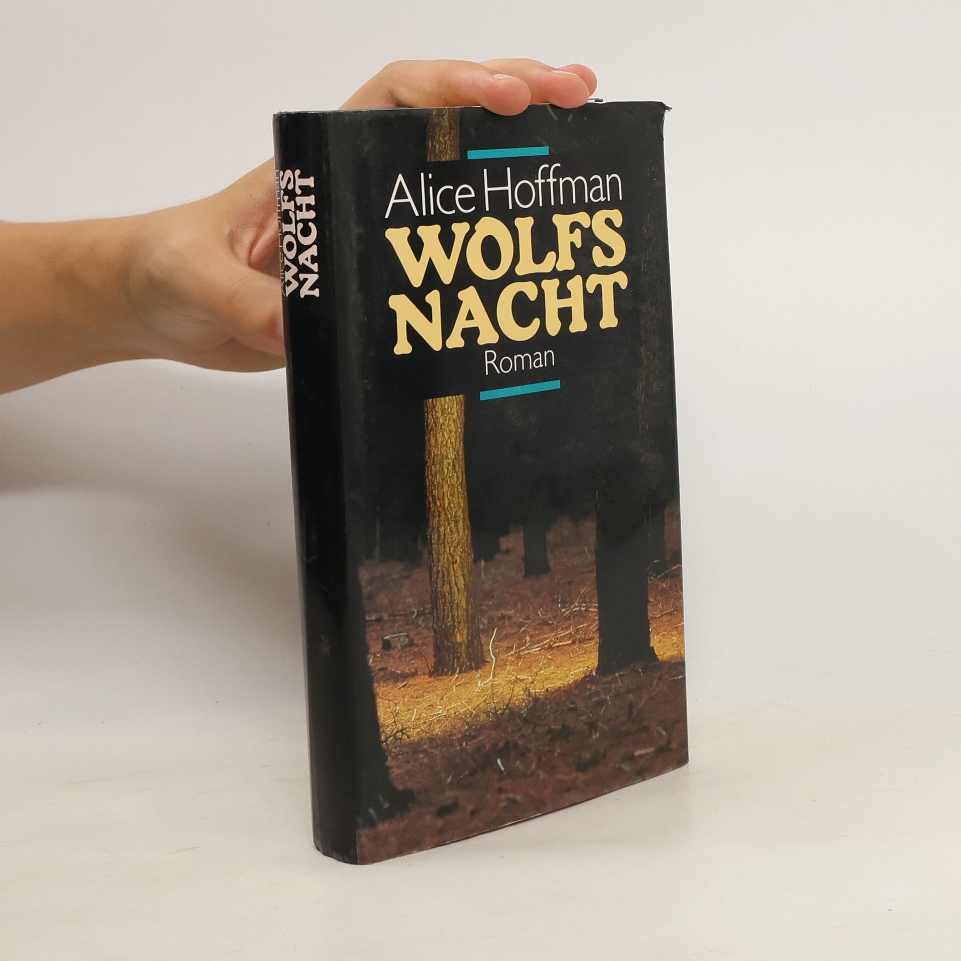 Alice Hoffman Wolfs Nacht