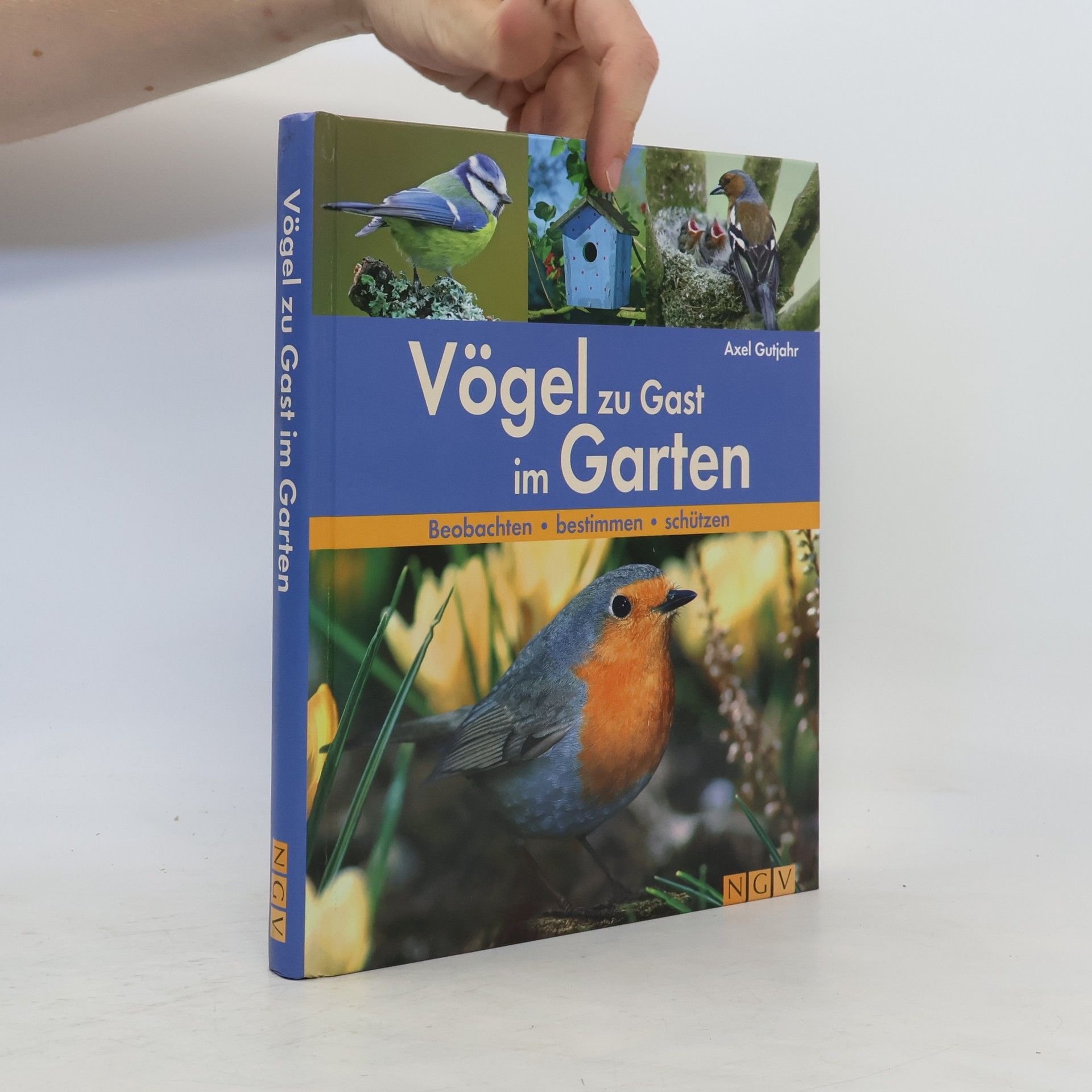 Axel Gutjahr Vögel zu Gast im Garten