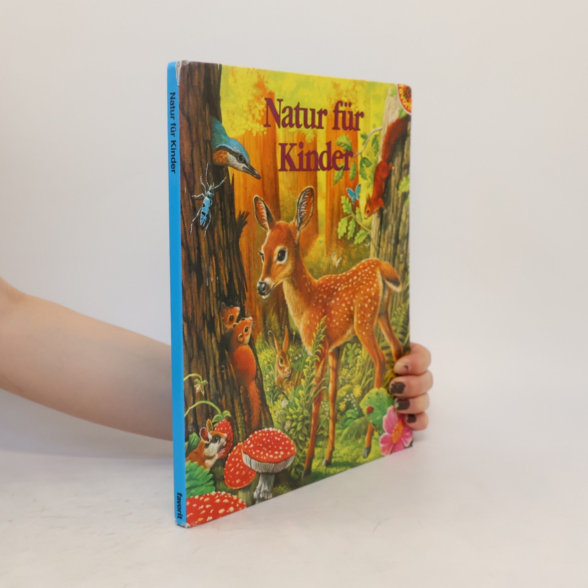 Mauro Monaldini Natur für Kinder