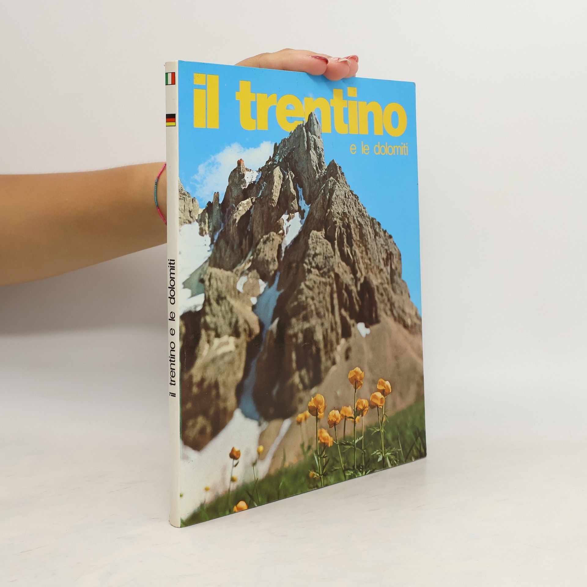 Autorenkollektiv Il Trentino e le dolomiti