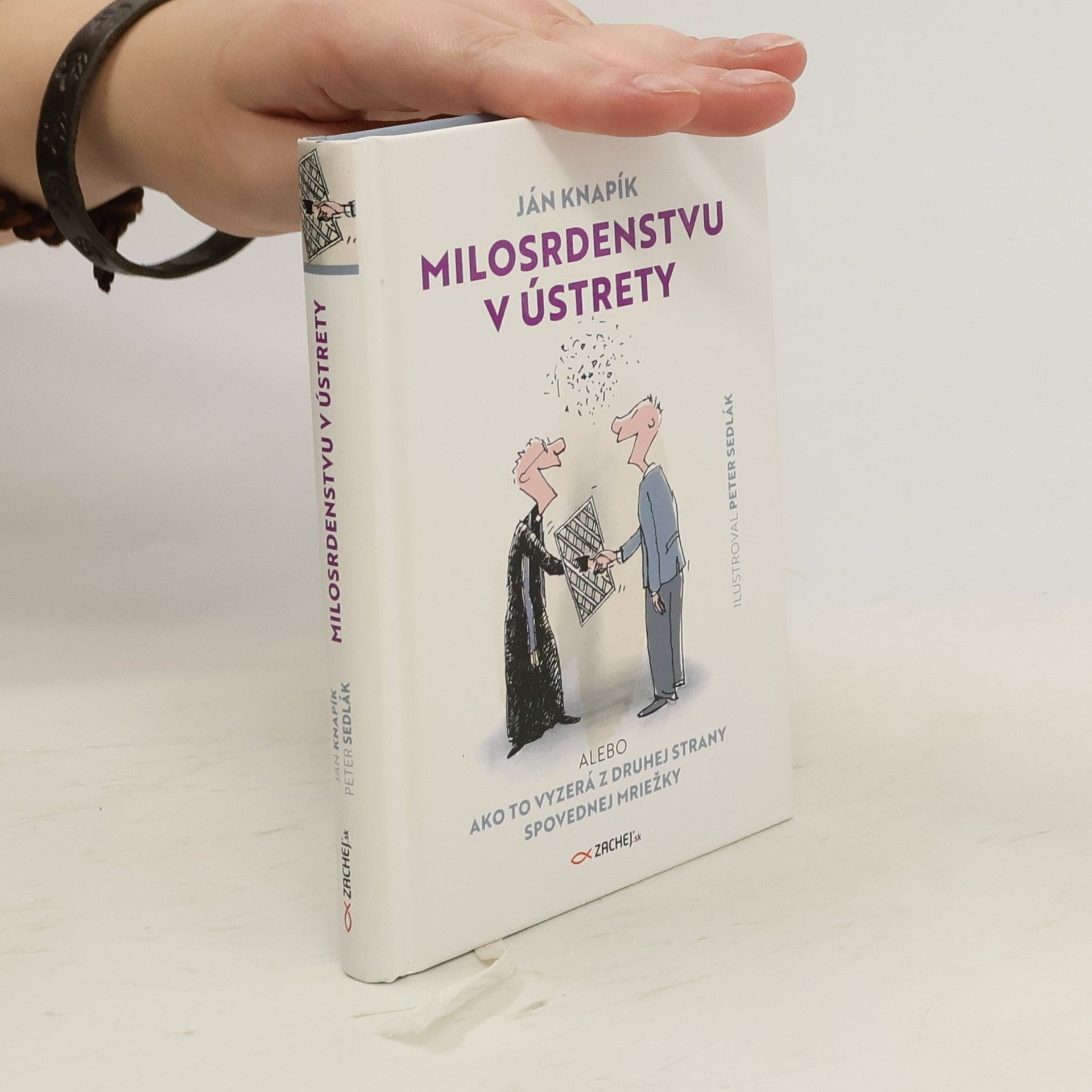 Ján Knapík Milosrdenstvu v ústrety