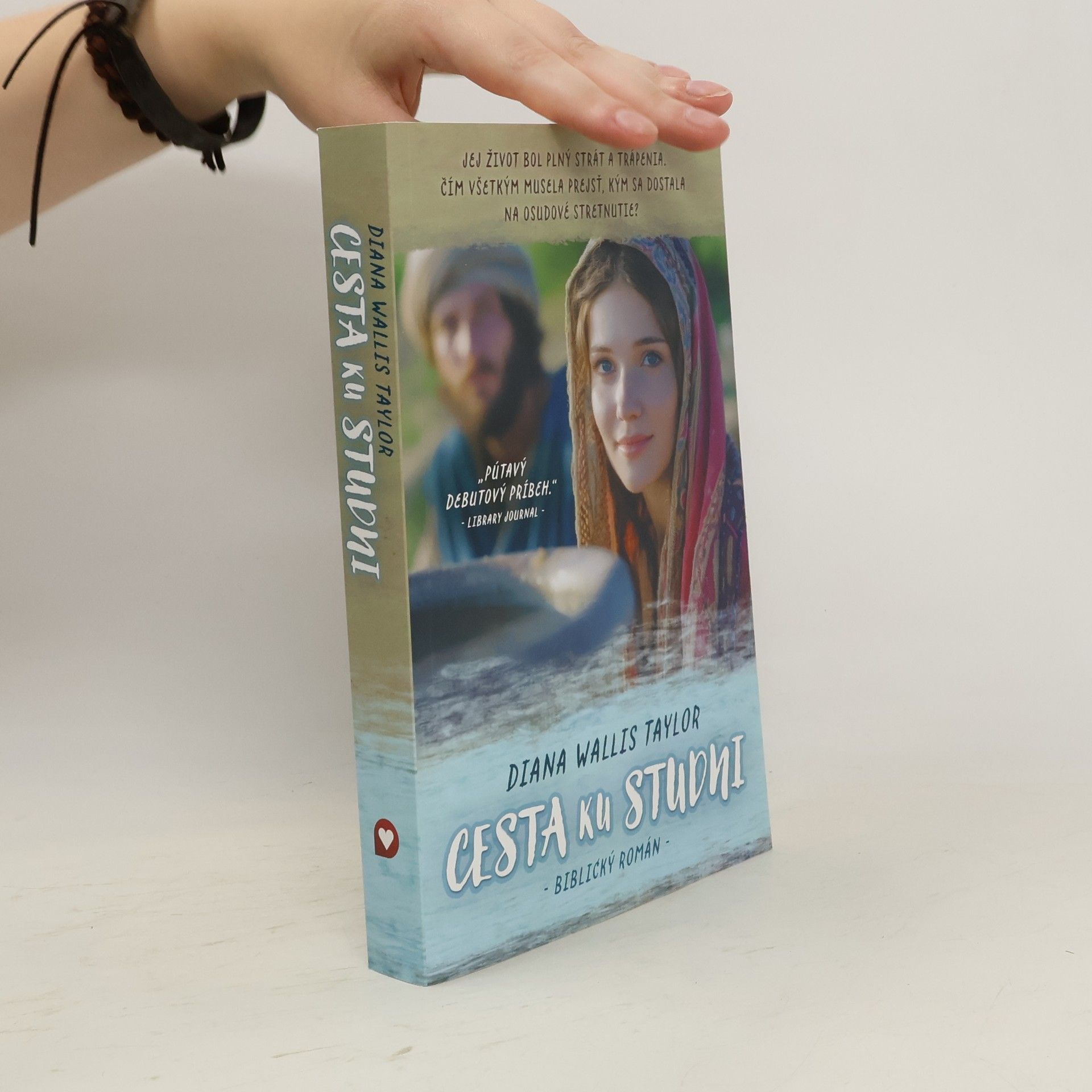 Diana Wallis Taylor Cesta ku studni