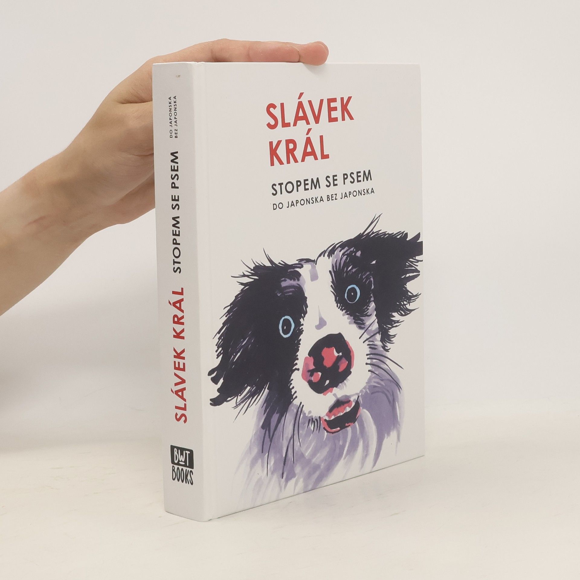 Slávek Král Stopem se psem : do Japonska bez Japonska