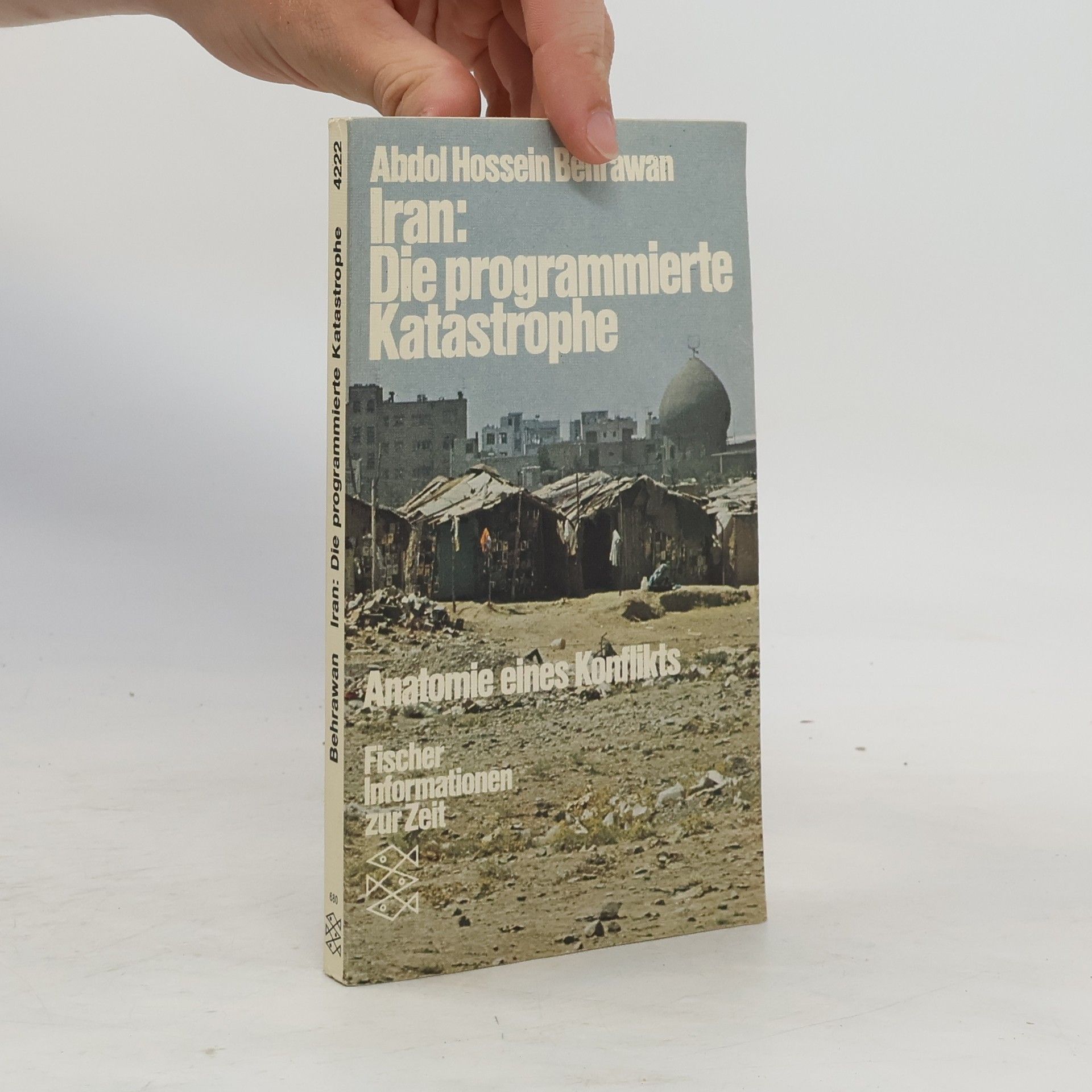 Abdolhossein Behrawan Iran, die programmierte Katastrophe