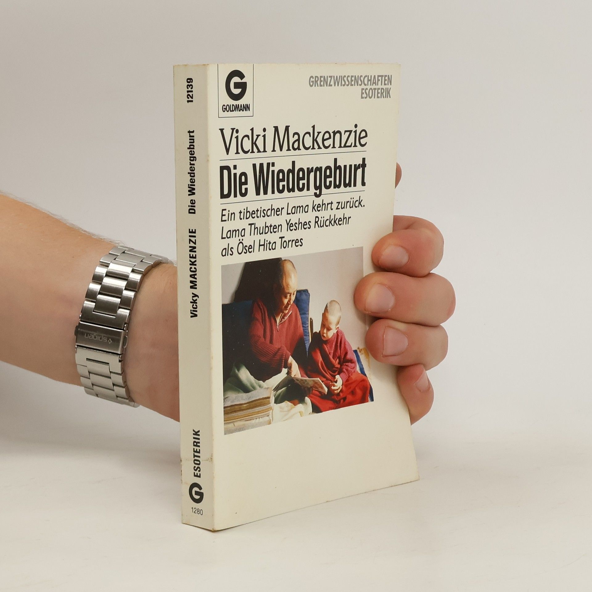 Vicki Mackenzie Die Wiedergeburt