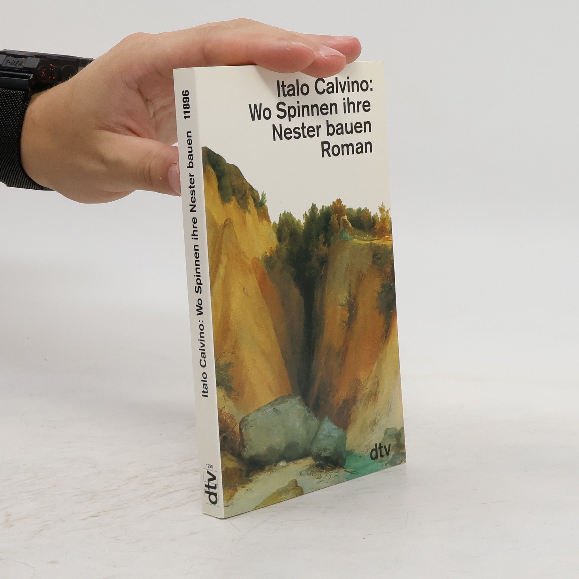 Italo Calvino Wo Spinnen ihre Nester bauen