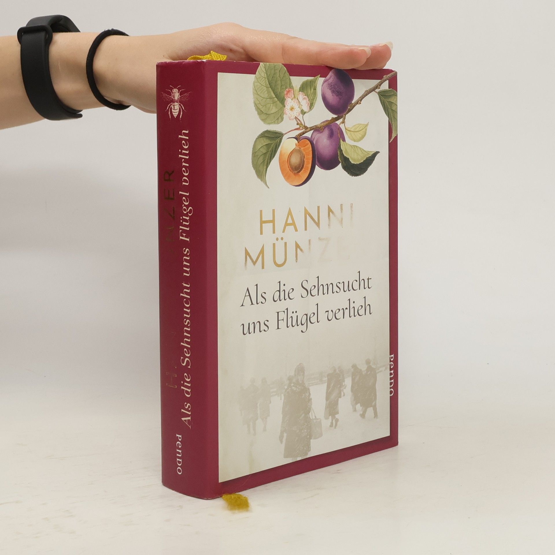 Hanni Münzer Als die Sehnsucht uns Flügel verlieh