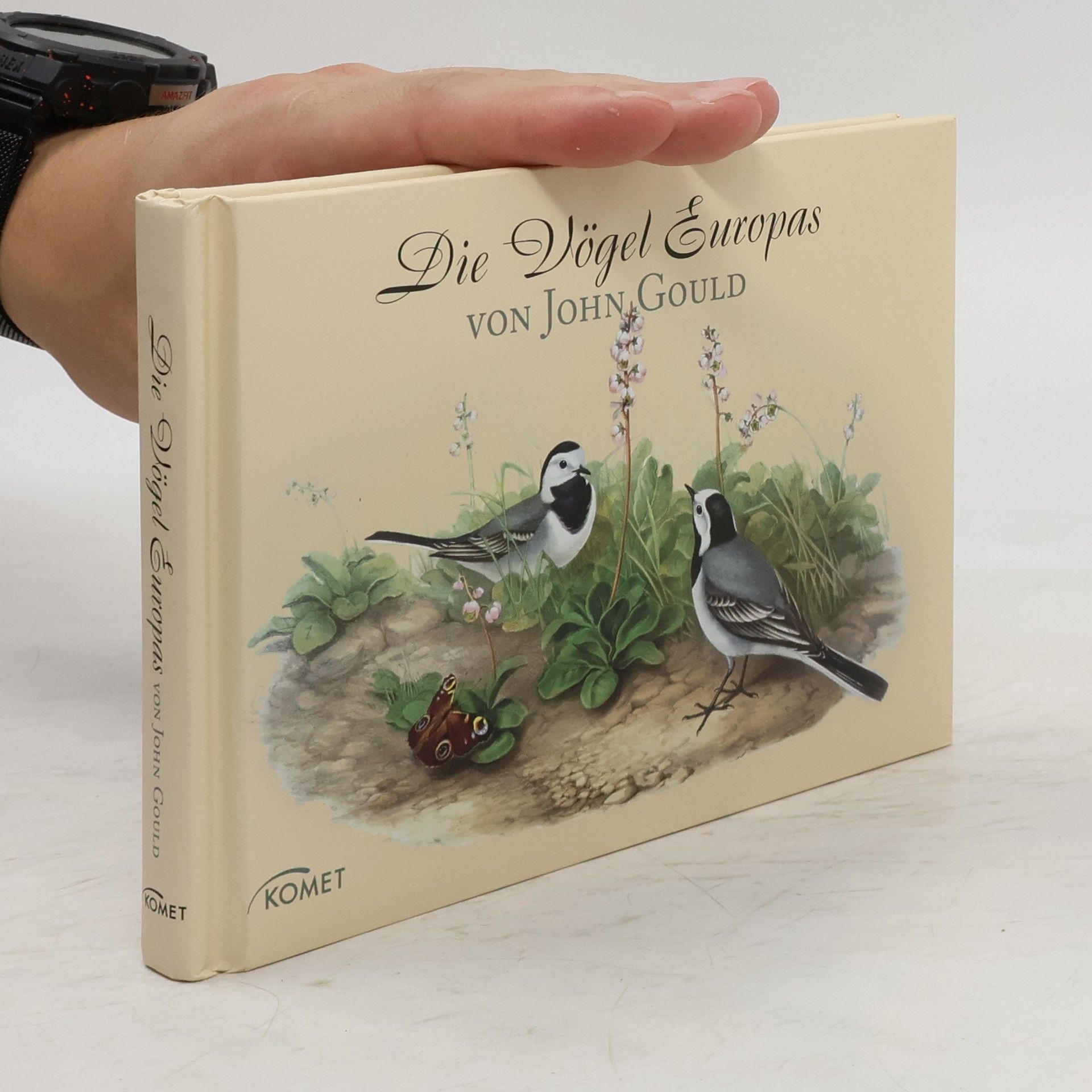 John Gould Die Vögel Europas