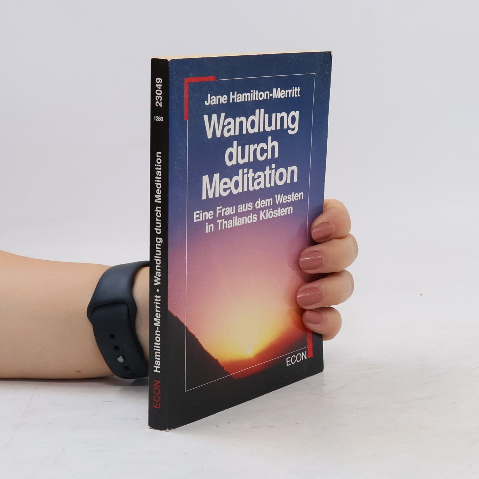 Jane Hamilton Wandlung durch Meditation