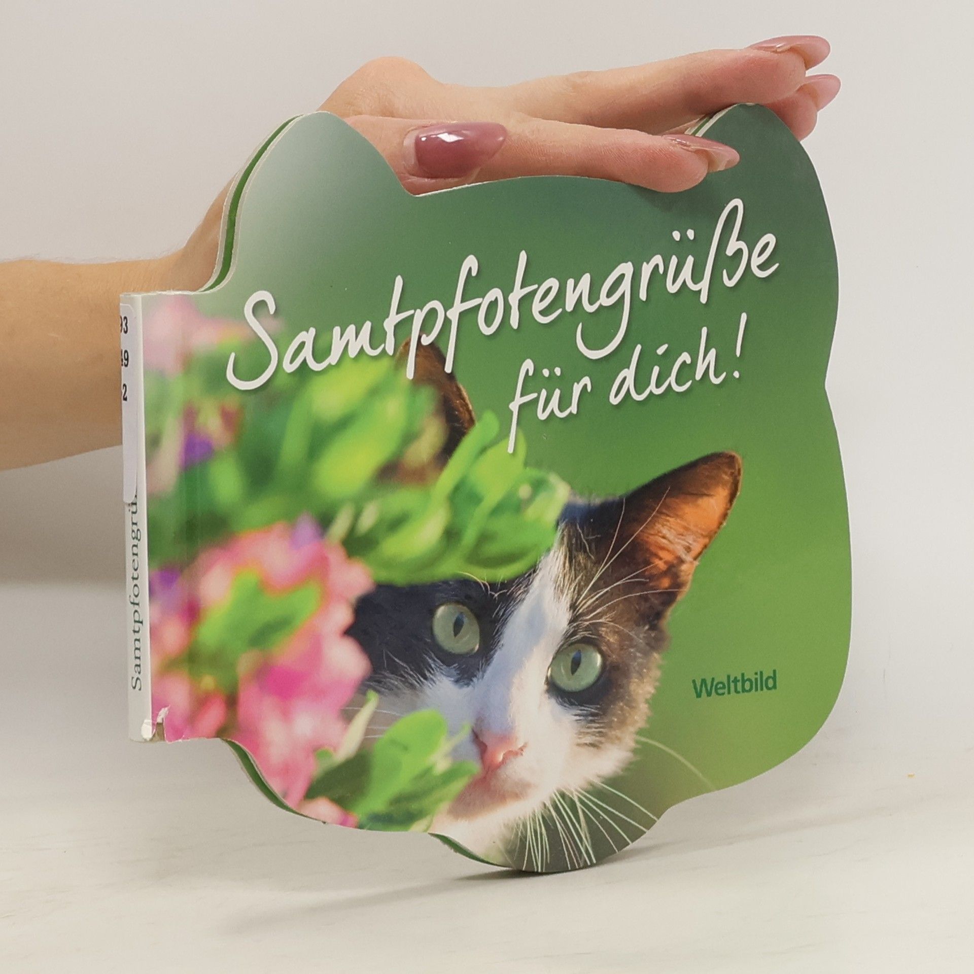 Collectif d'auteurs Samtpfotengrüße für dich!