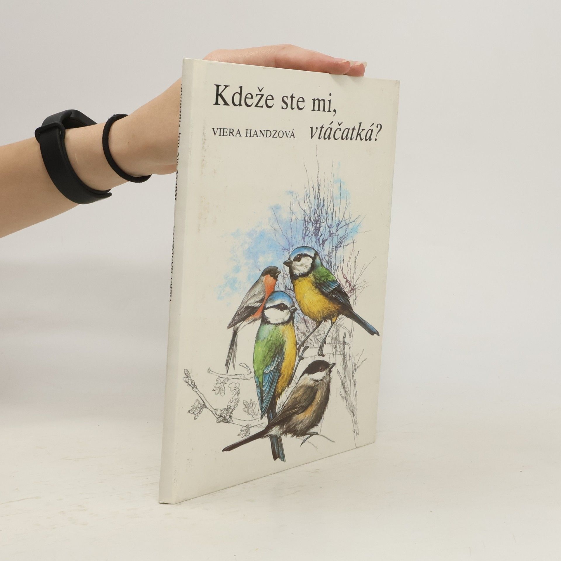 Viera Handzová Kdeže ste mi, vtáčatká?
