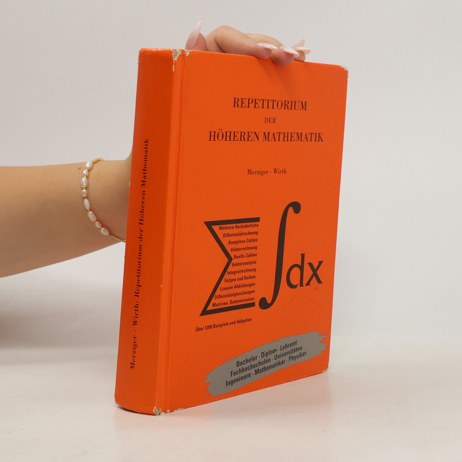 Gerhard Merziger Repetitorium der höheren Mathematik