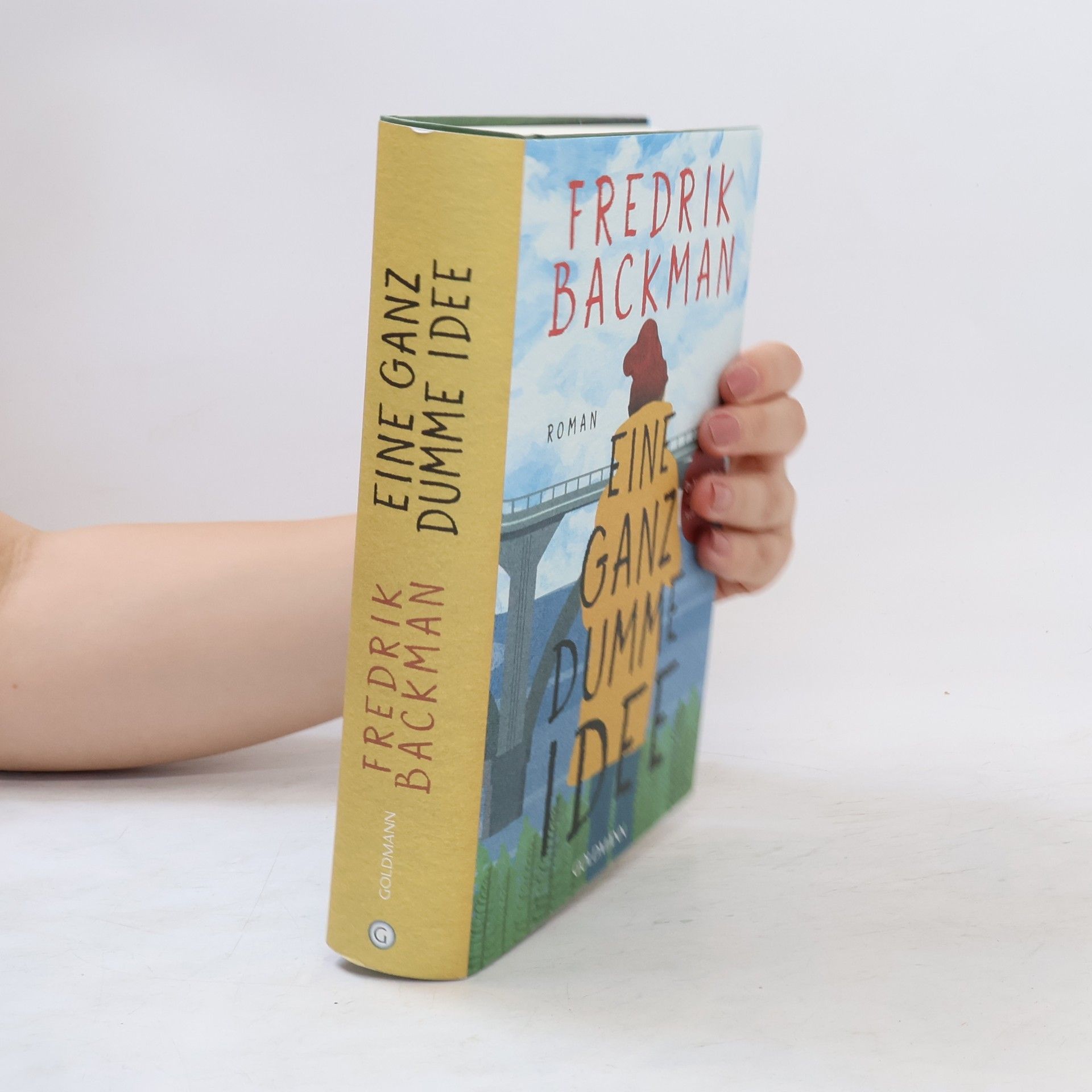 Fredrik Backman Eine Ganz dumme Idee