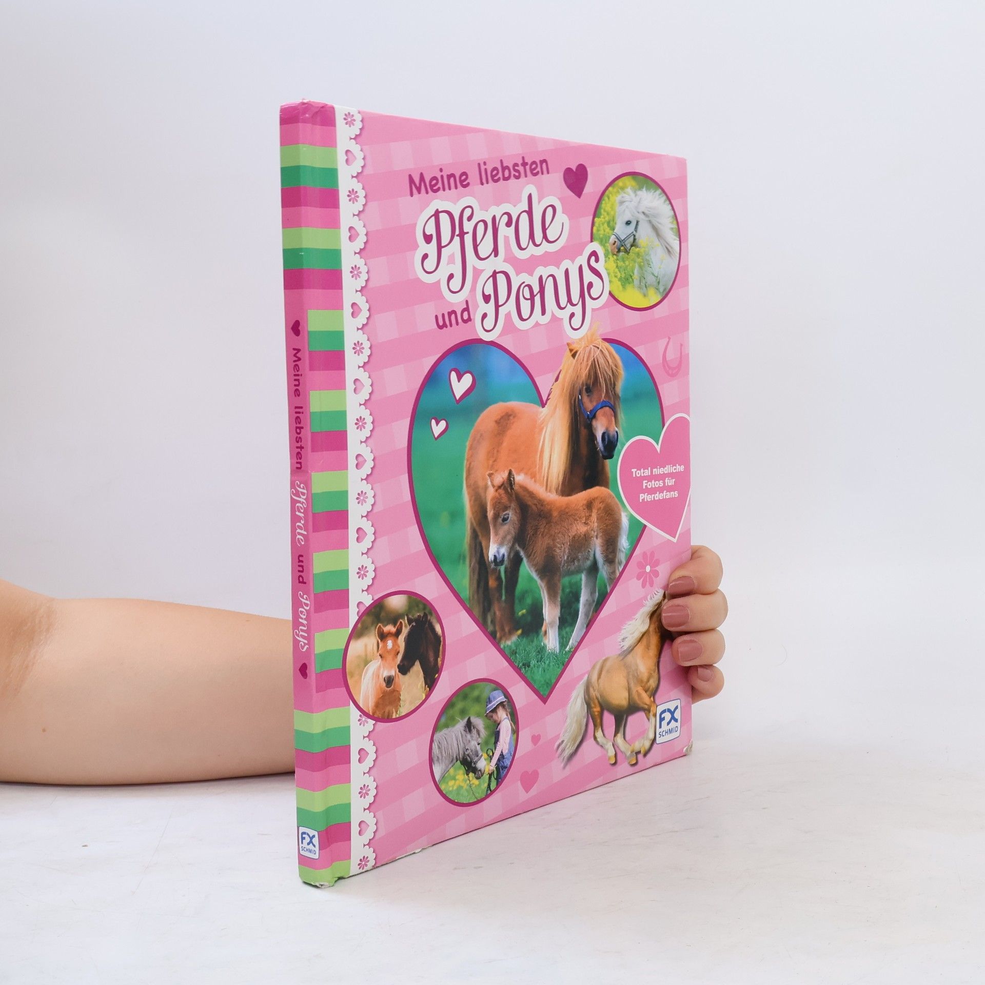 Meine liebsten Pferde und Ponys