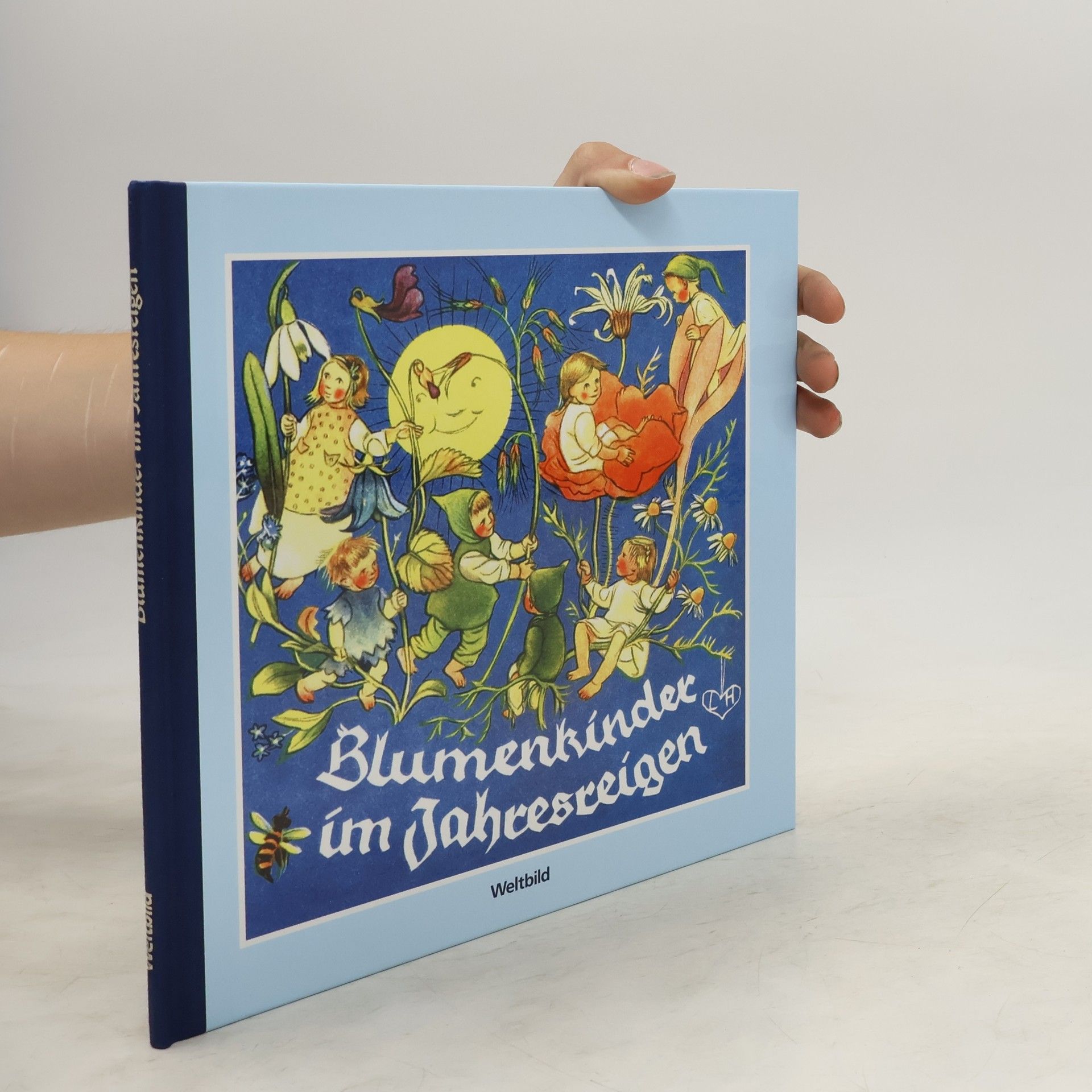 Auteurscollectief Blumenkinder im Jahresreigen