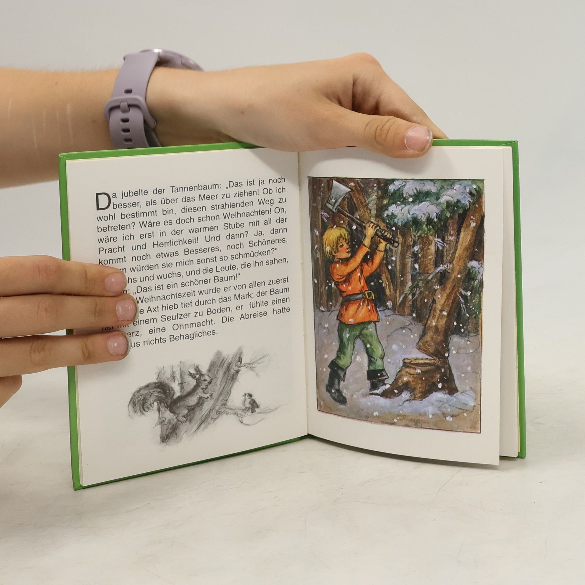 Kolektiv autorů Frage - und Antwortbuch. Warum?