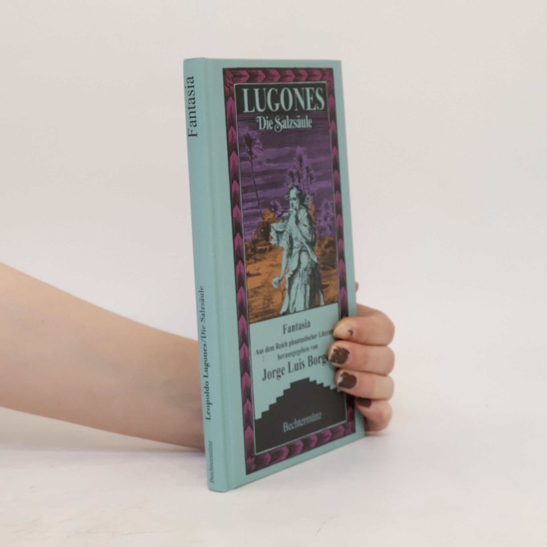Jorge Luis Borges Die Salzsäule