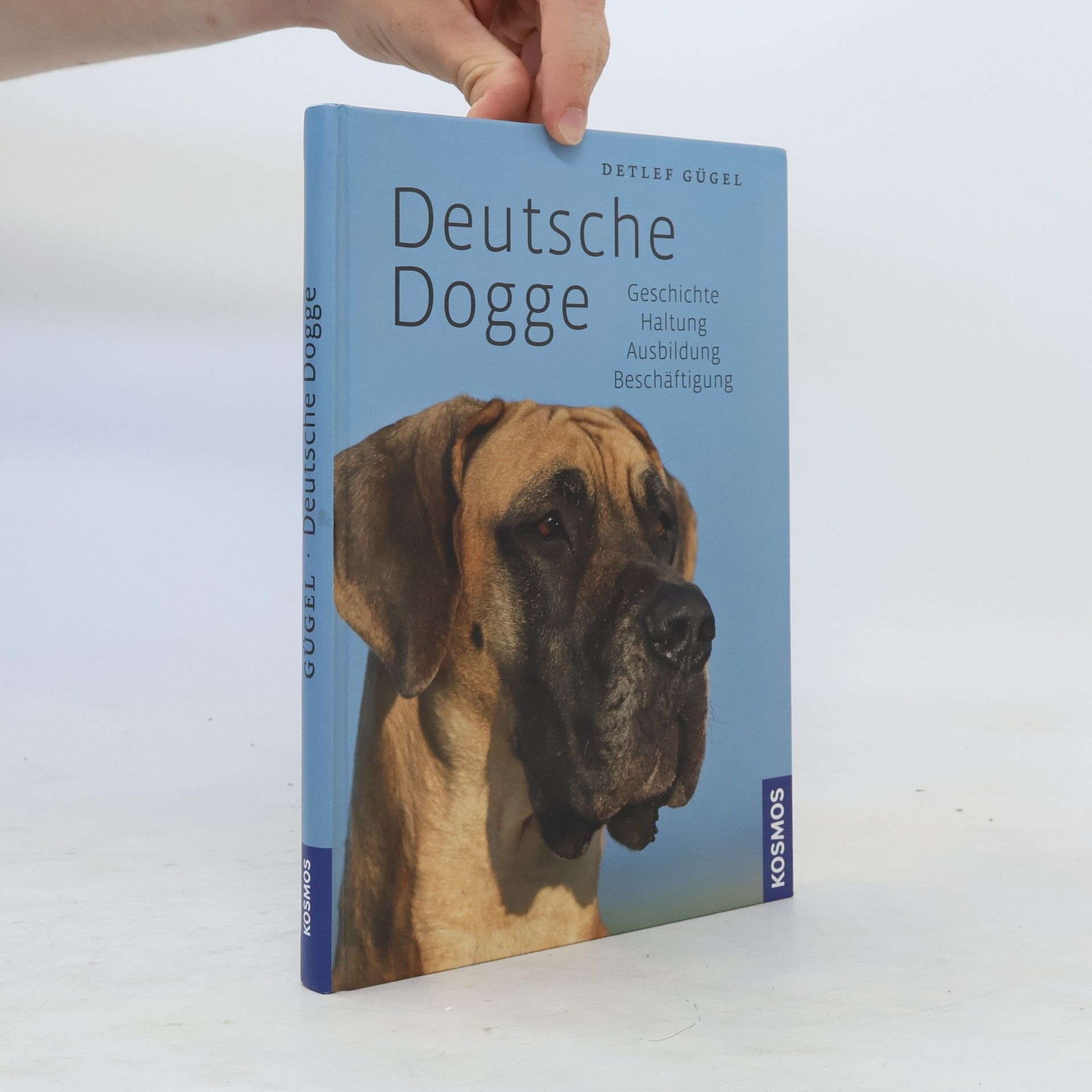 Detlef Gügel Deutsche Dogge