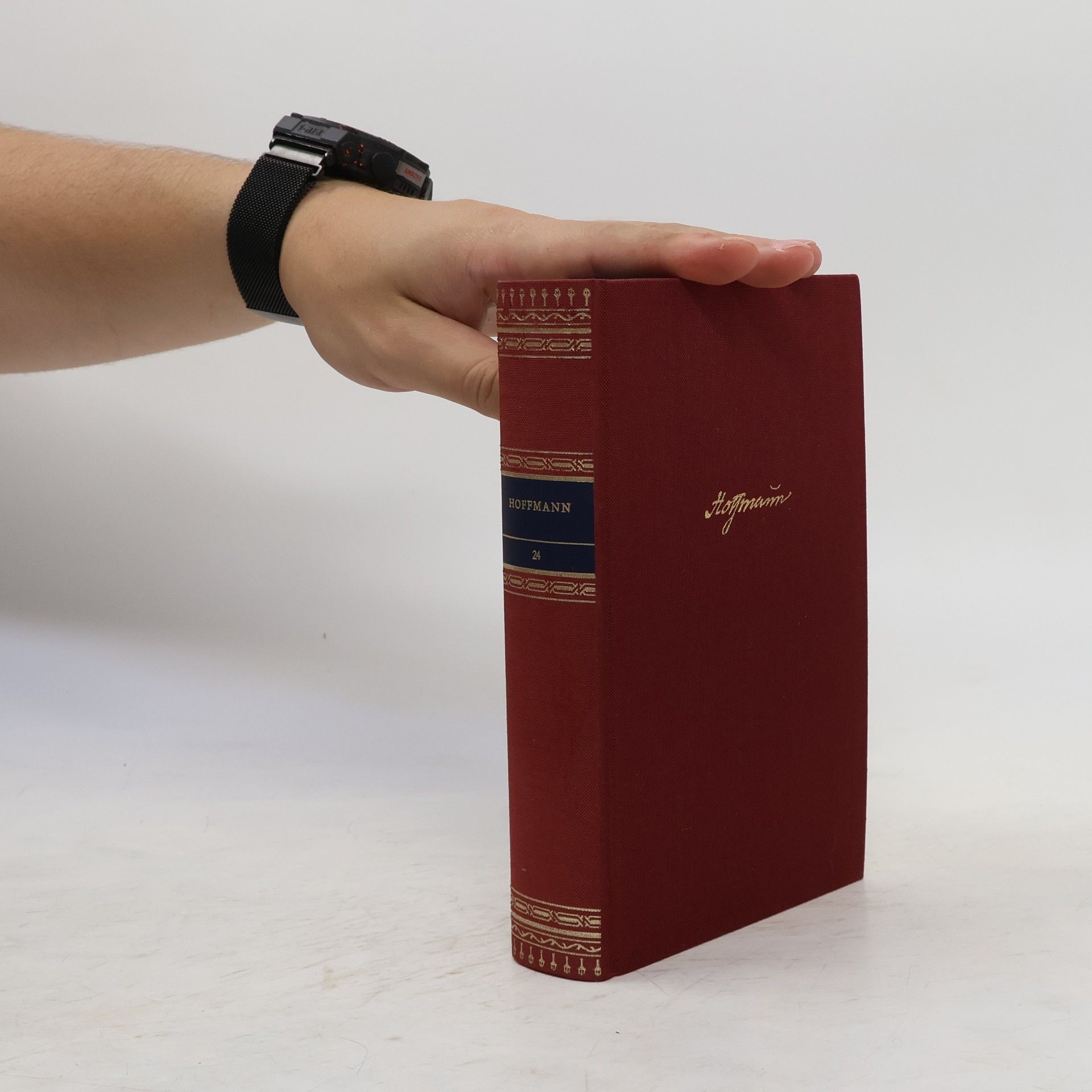 Gerhard Schneider Hoffmann 24