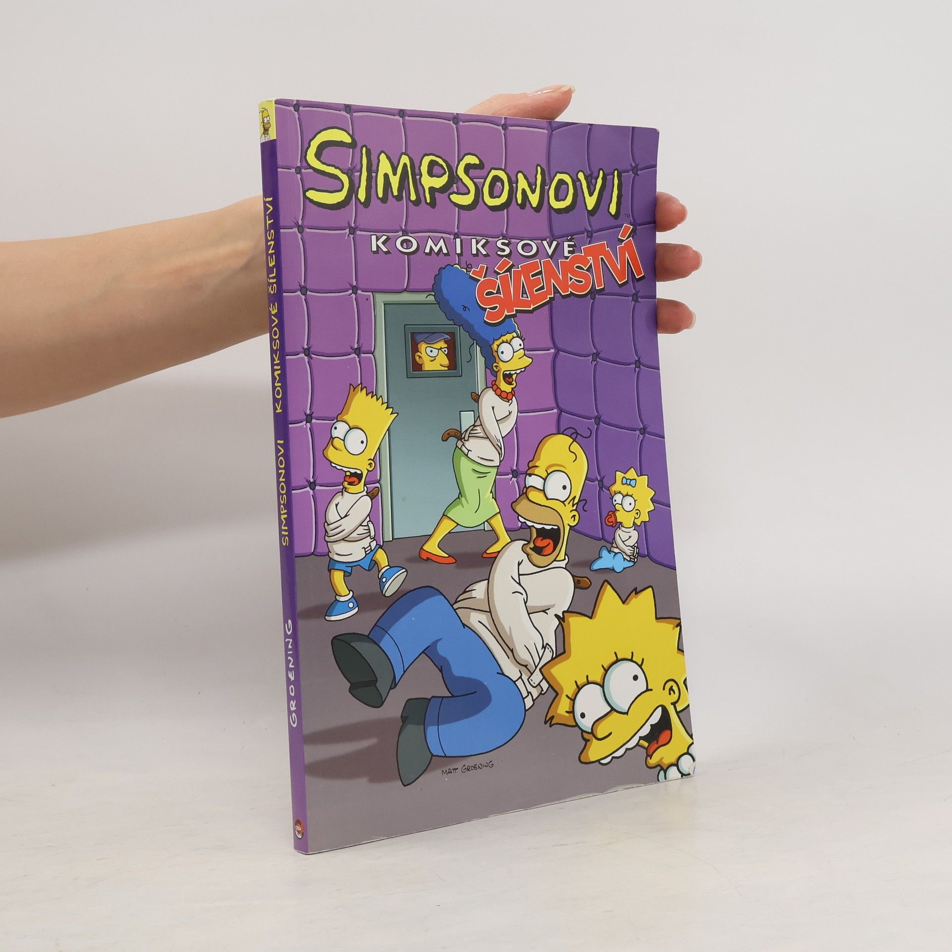 Matt Groening Simpsonovi, Komiksové šílenství