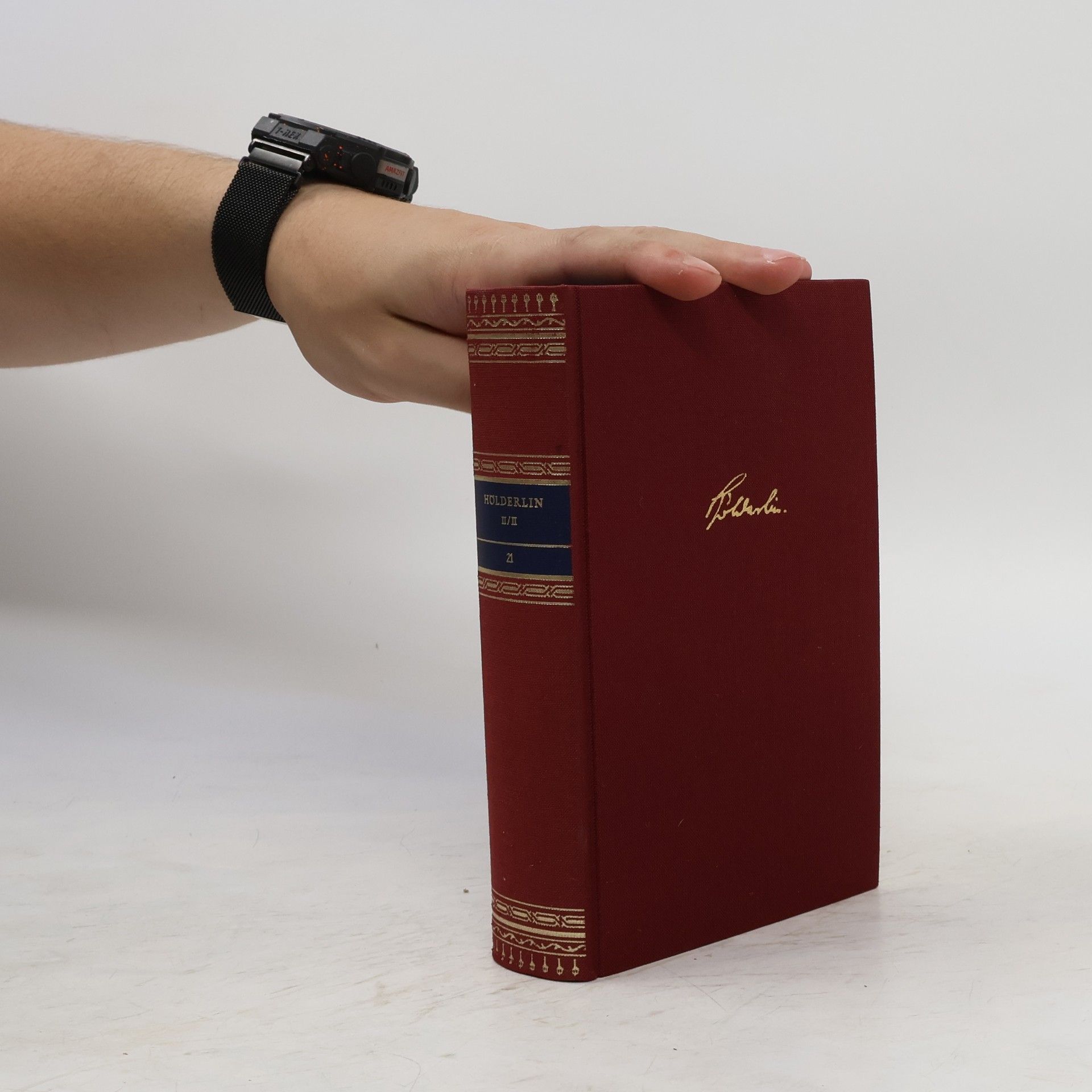 Friedrich Hölderlin Werke in zwei Bänden. Zwei Band