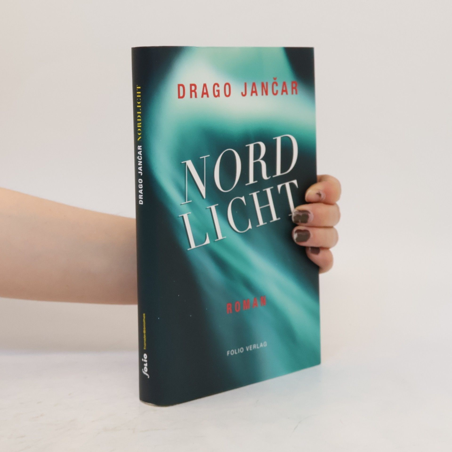 Drago Jančar Nordlicht