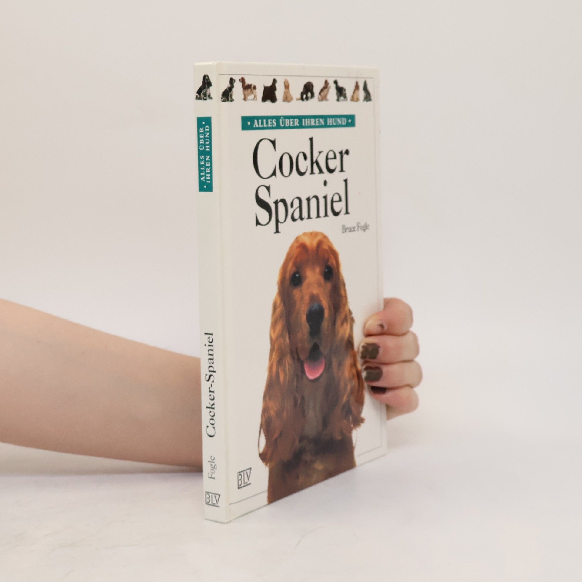Bruce Folge Cocker-Spaniel