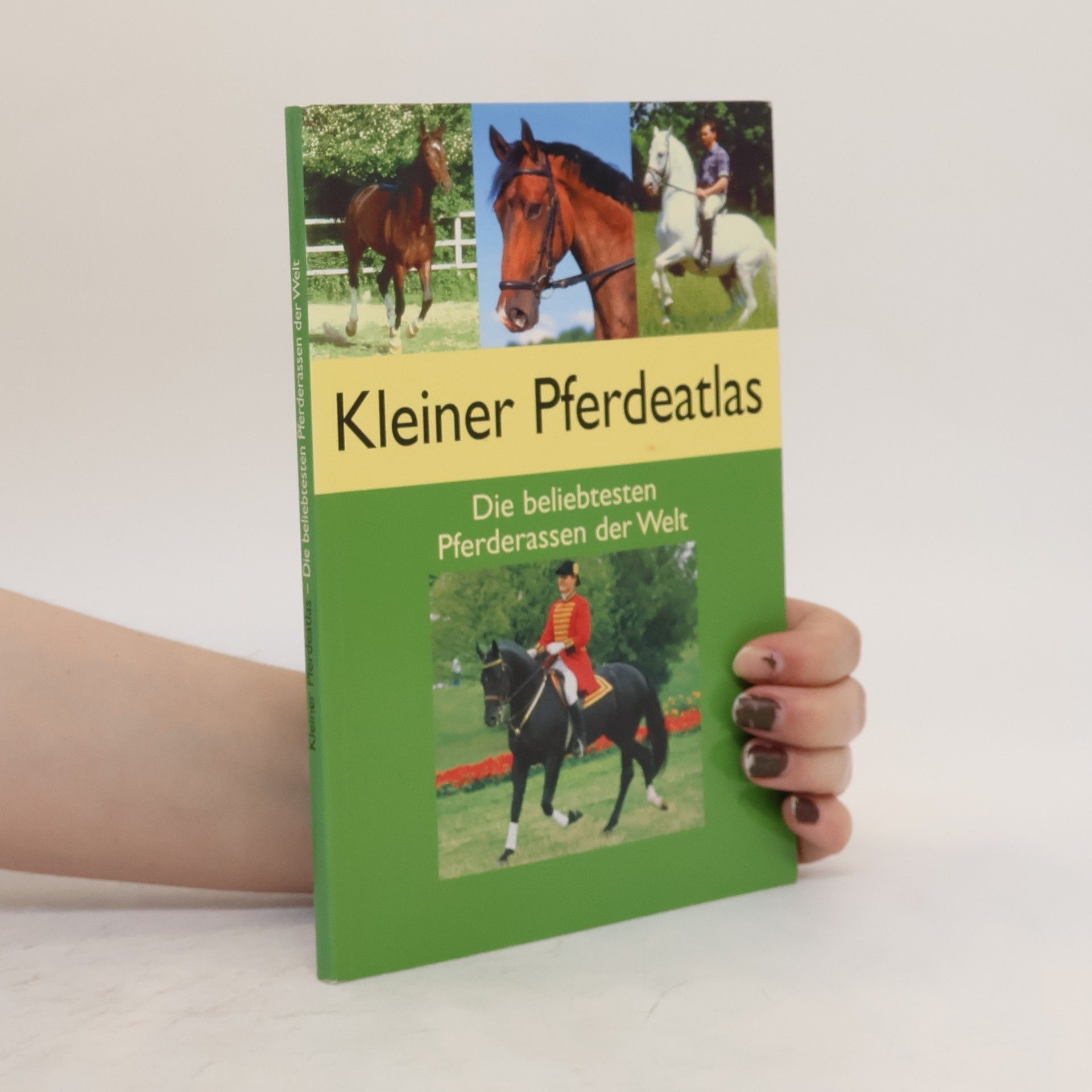 Sibylle Luise Binder Kleiner Pferdeatlas