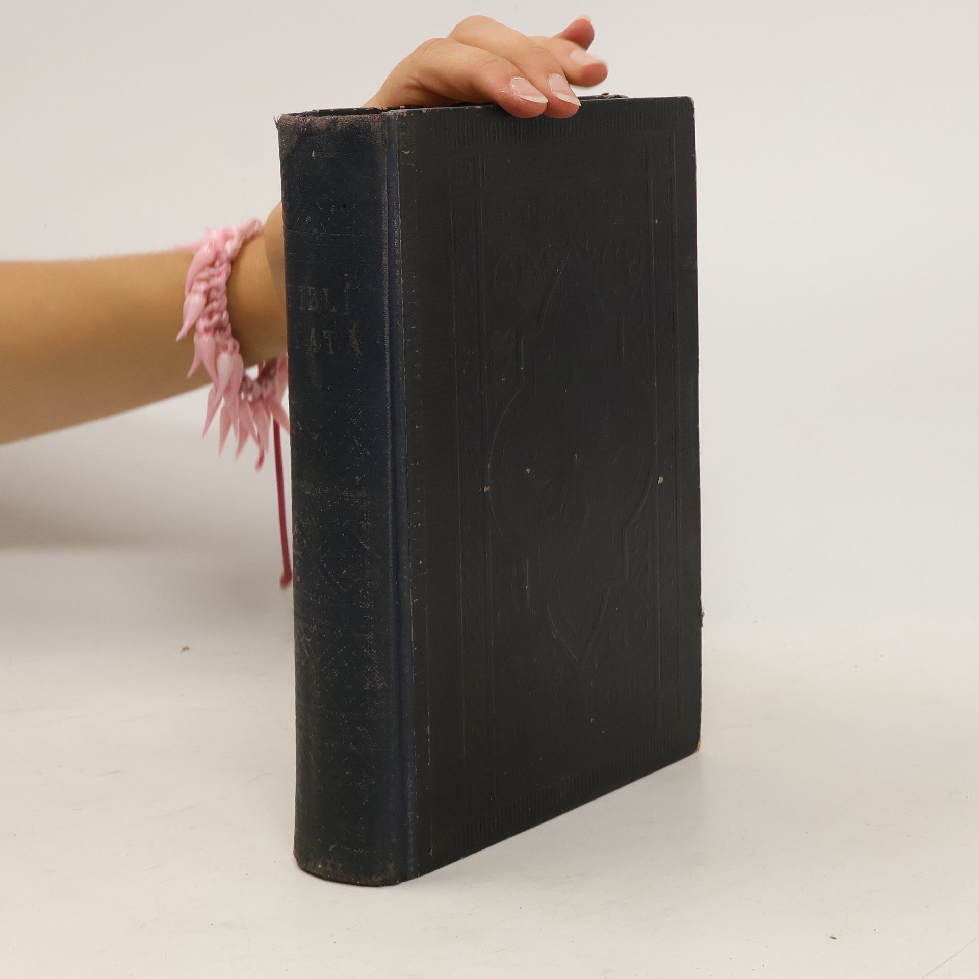 Kolektiv autorů Biblí svatá aneb všecka svatá písma Starého i Nového Zákona