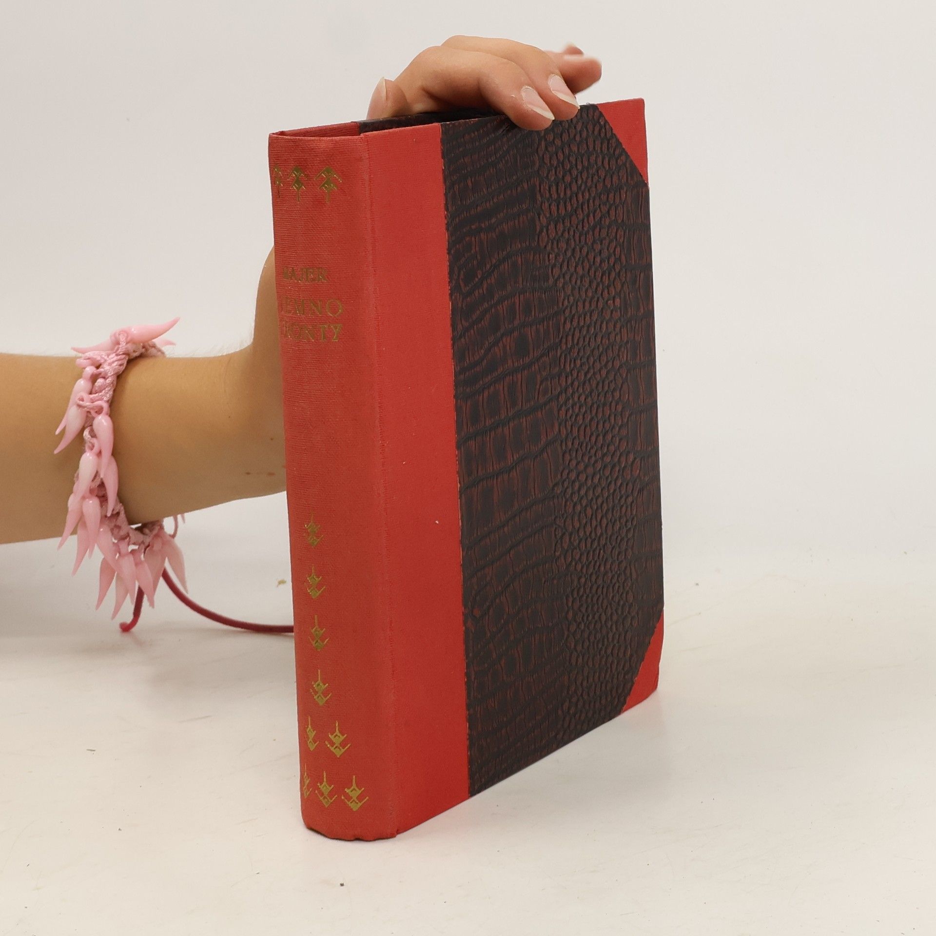 František Majer Temno fronty