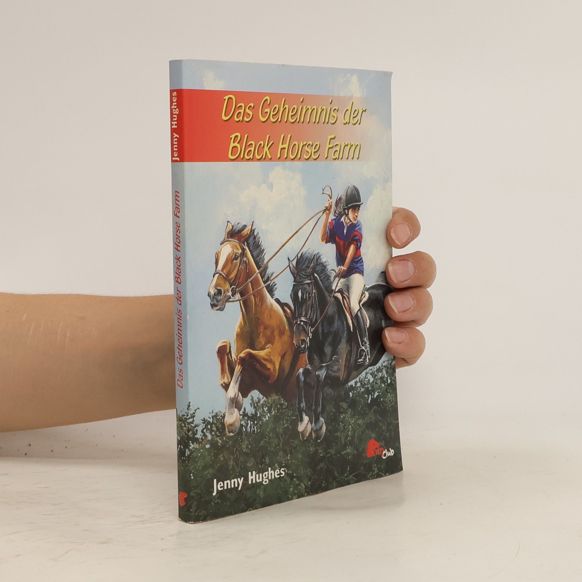 Jenny Hughes Das Geheimnis der Black-horse-Farm