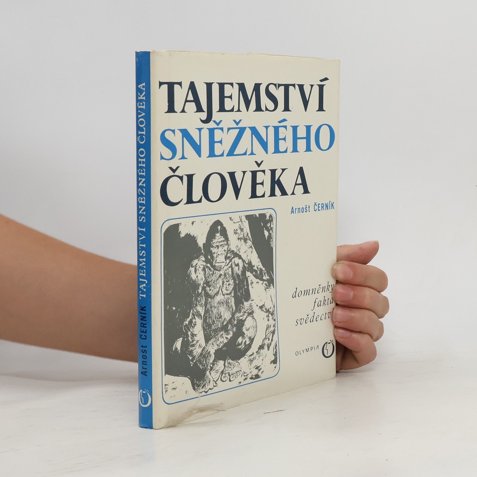 Arnošt Černík Tajemství sněžného člověka