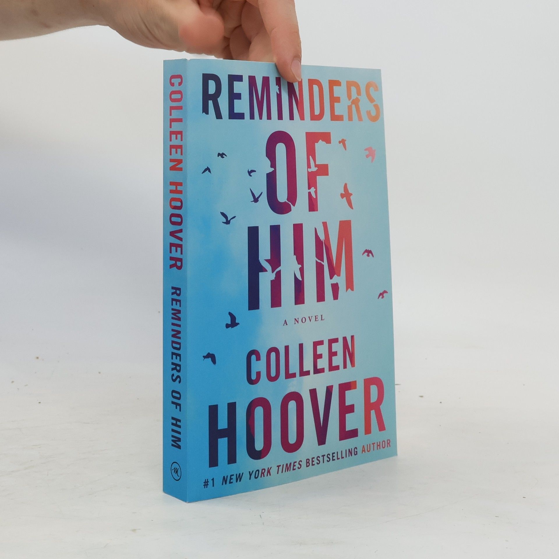 Colleen Hoover Reminders of him