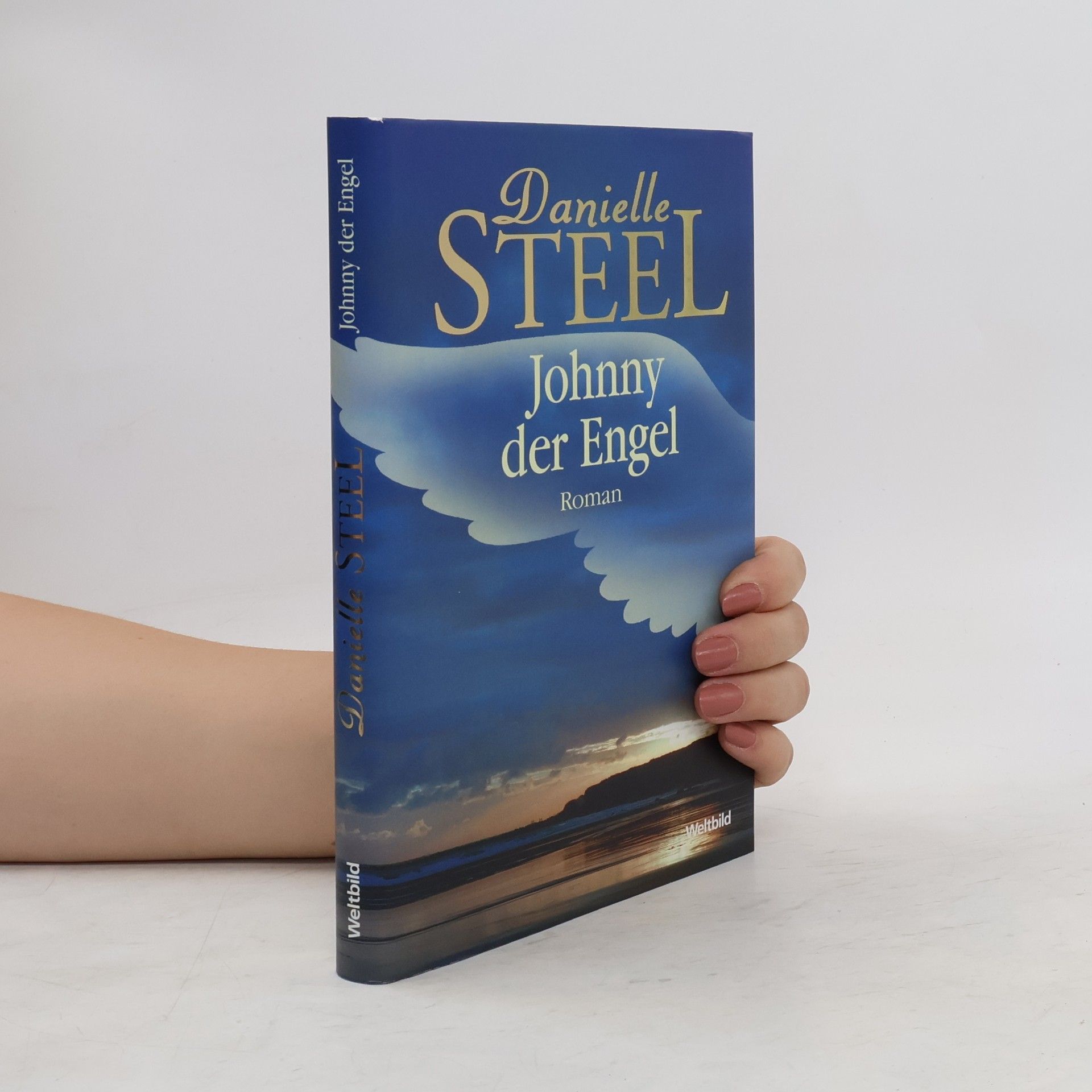 Danielle Steel Johnny der Engel