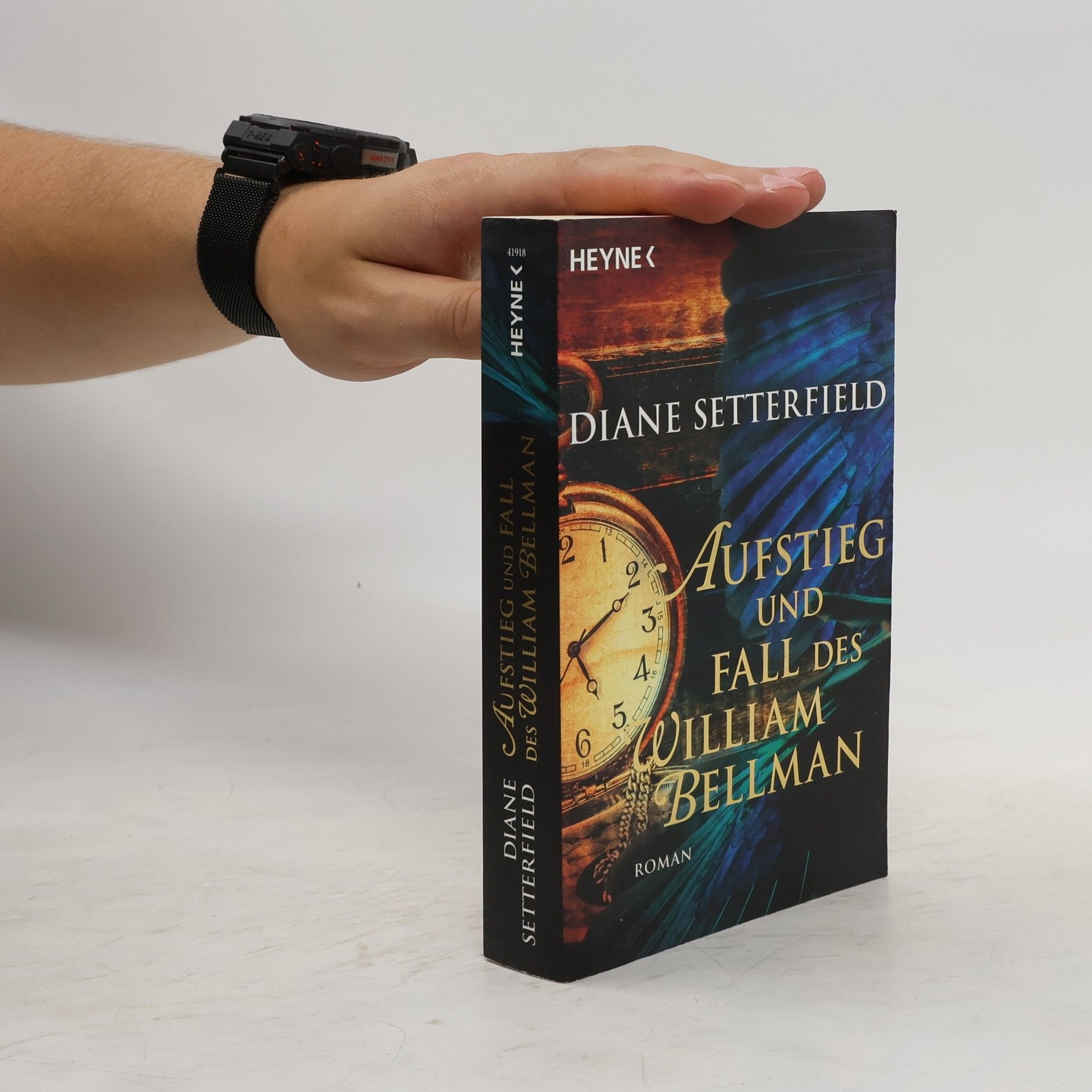 Diane Setterfield Aufstieg und Fall des William Bellman