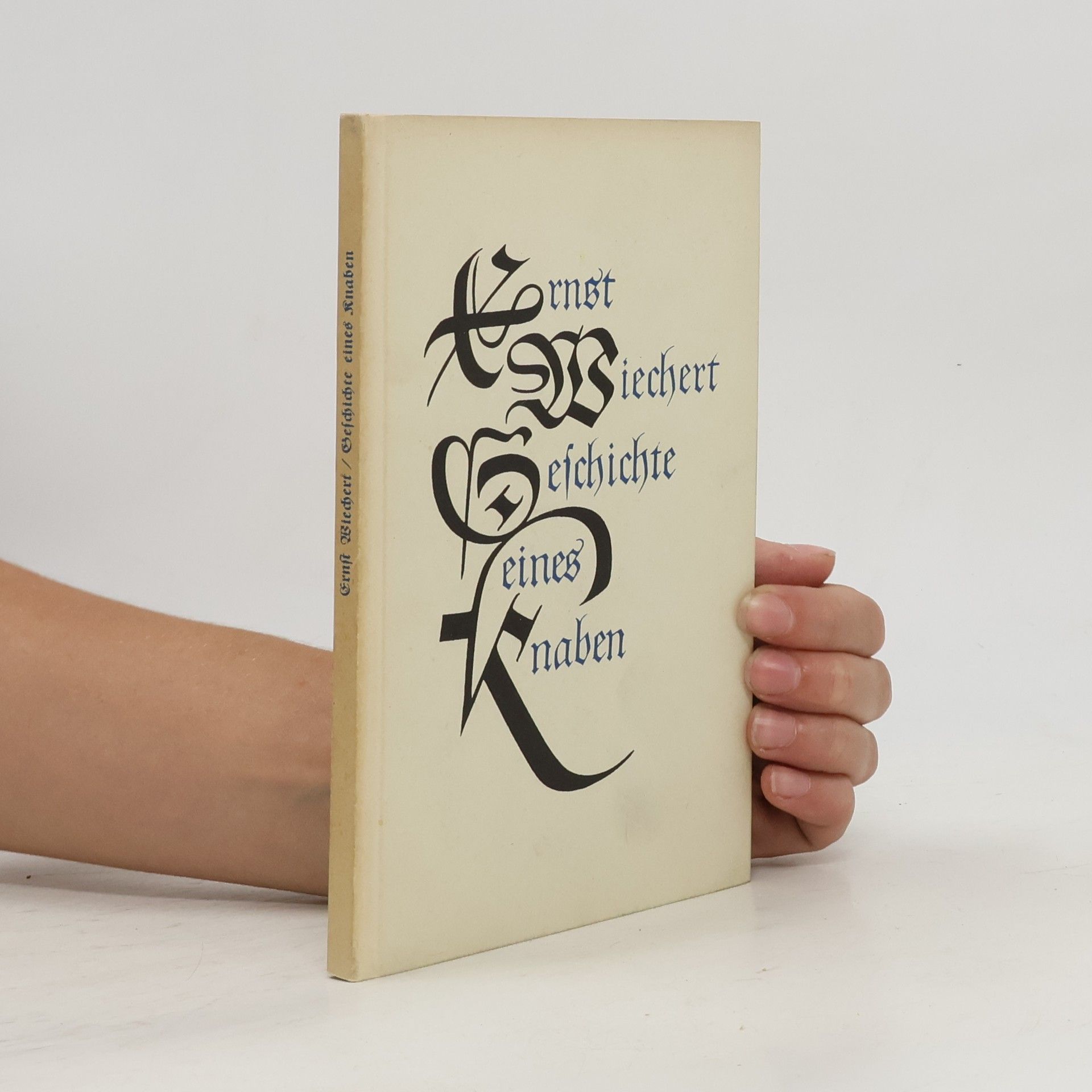Ernst Wichert Geschichte eines Knaben