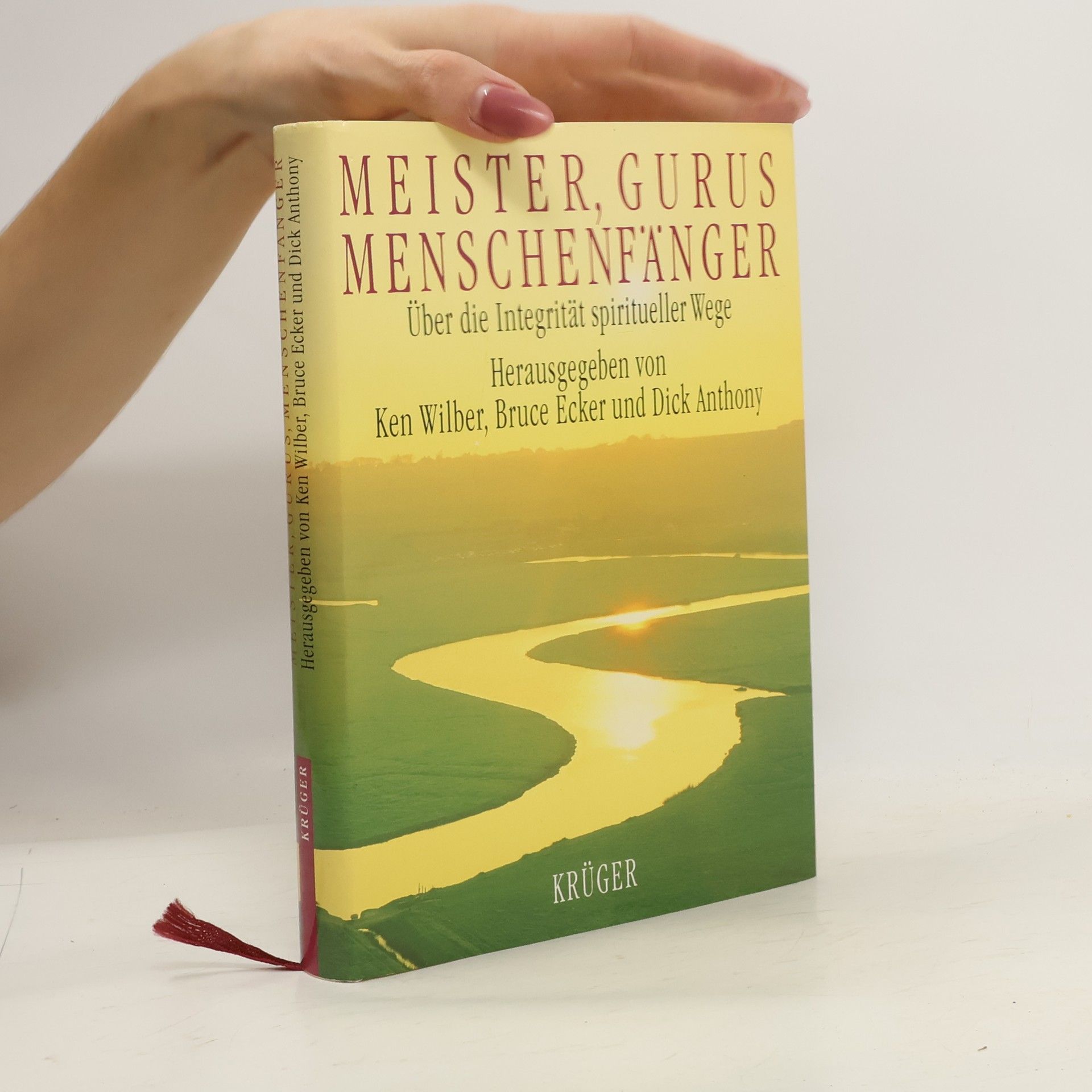 Ken Wilber Meister, Gurus, Menschenfänger