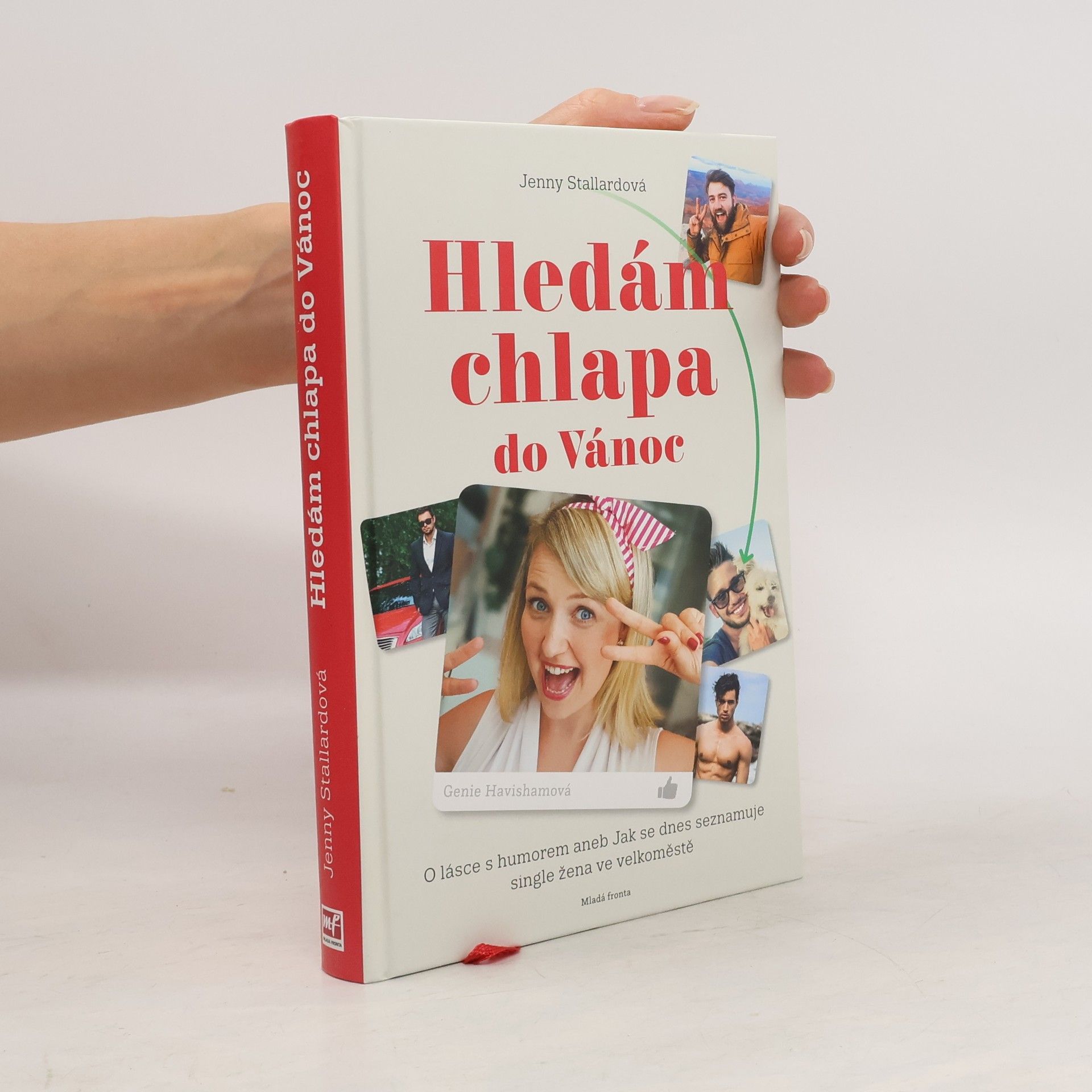 Jenny Stallard Hledám chlapa do Vánoc