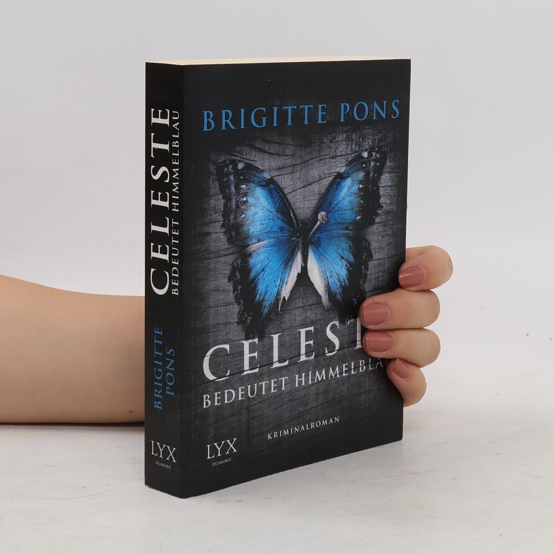 Brigitte Pons Celeste bedeutet Himmelblau