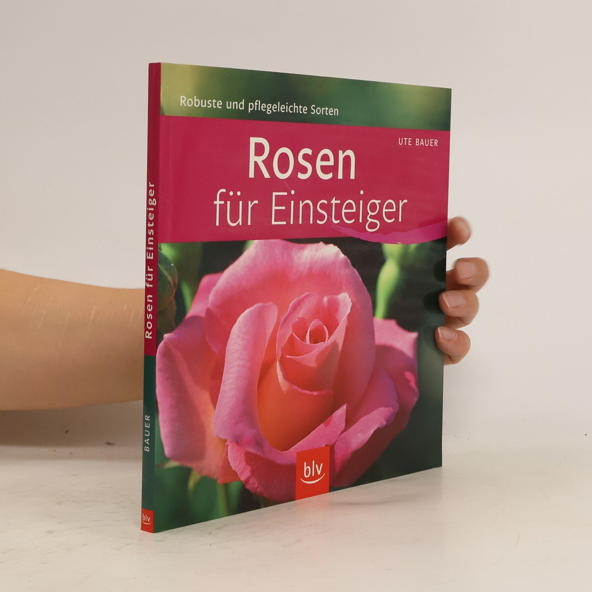 Ute Bauer Rosen für Einsteiger