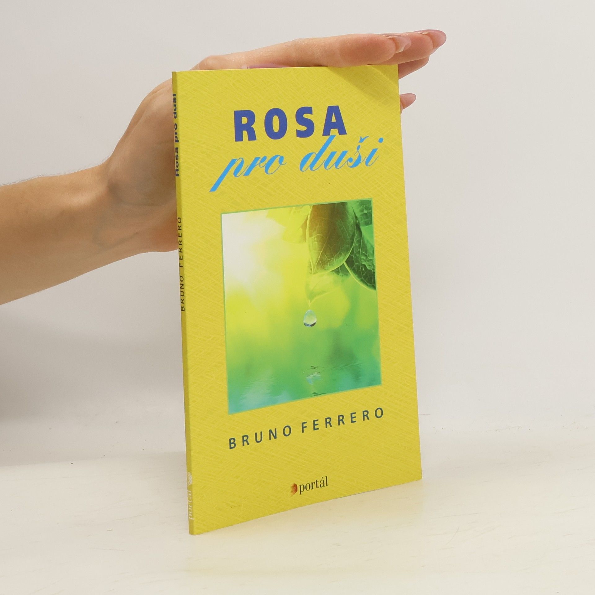 Bruno Ferrero Rosa pro duši