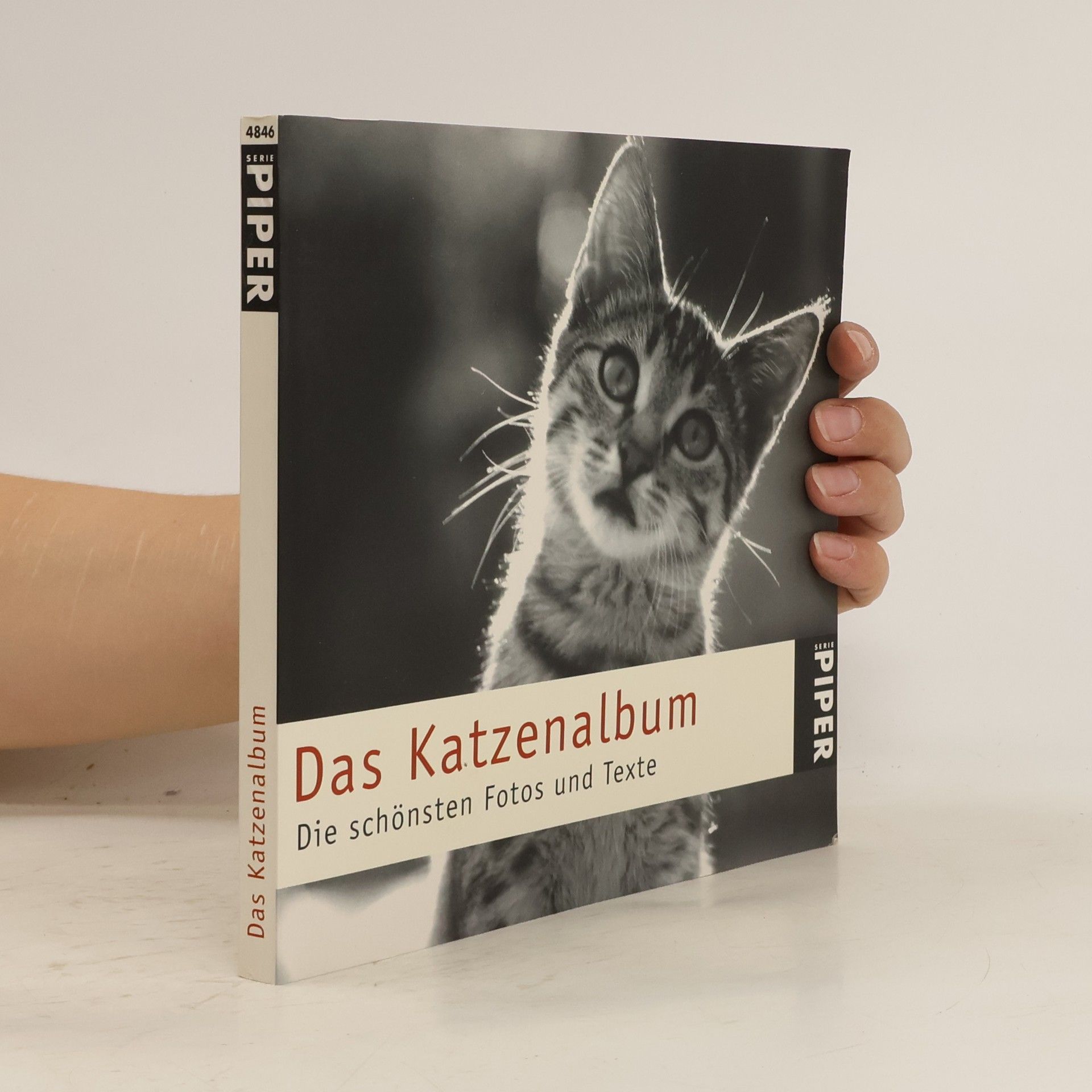 Julia Bachstein Das Katzenalbum
