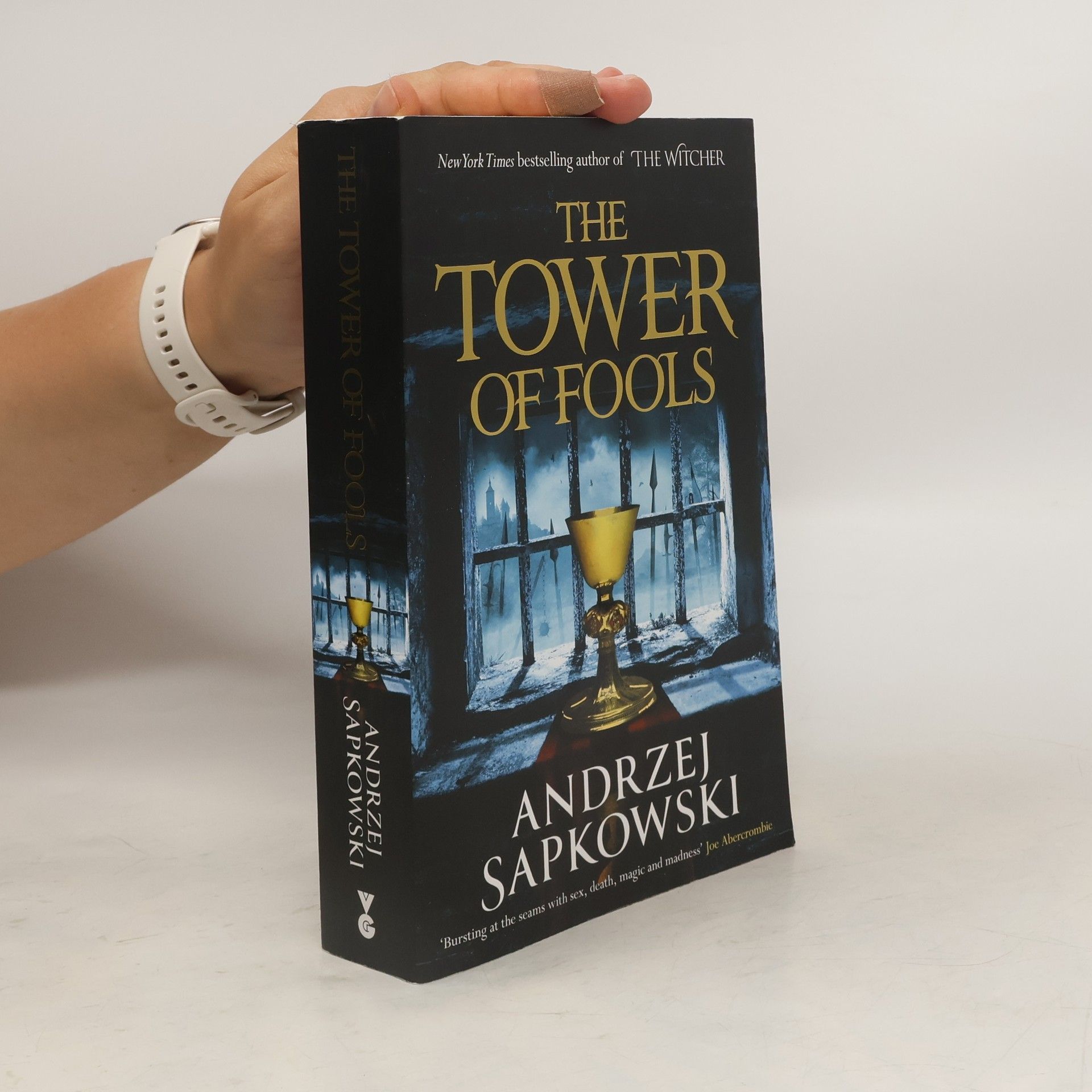 Andrzej Sapkowski The Tower of Fools