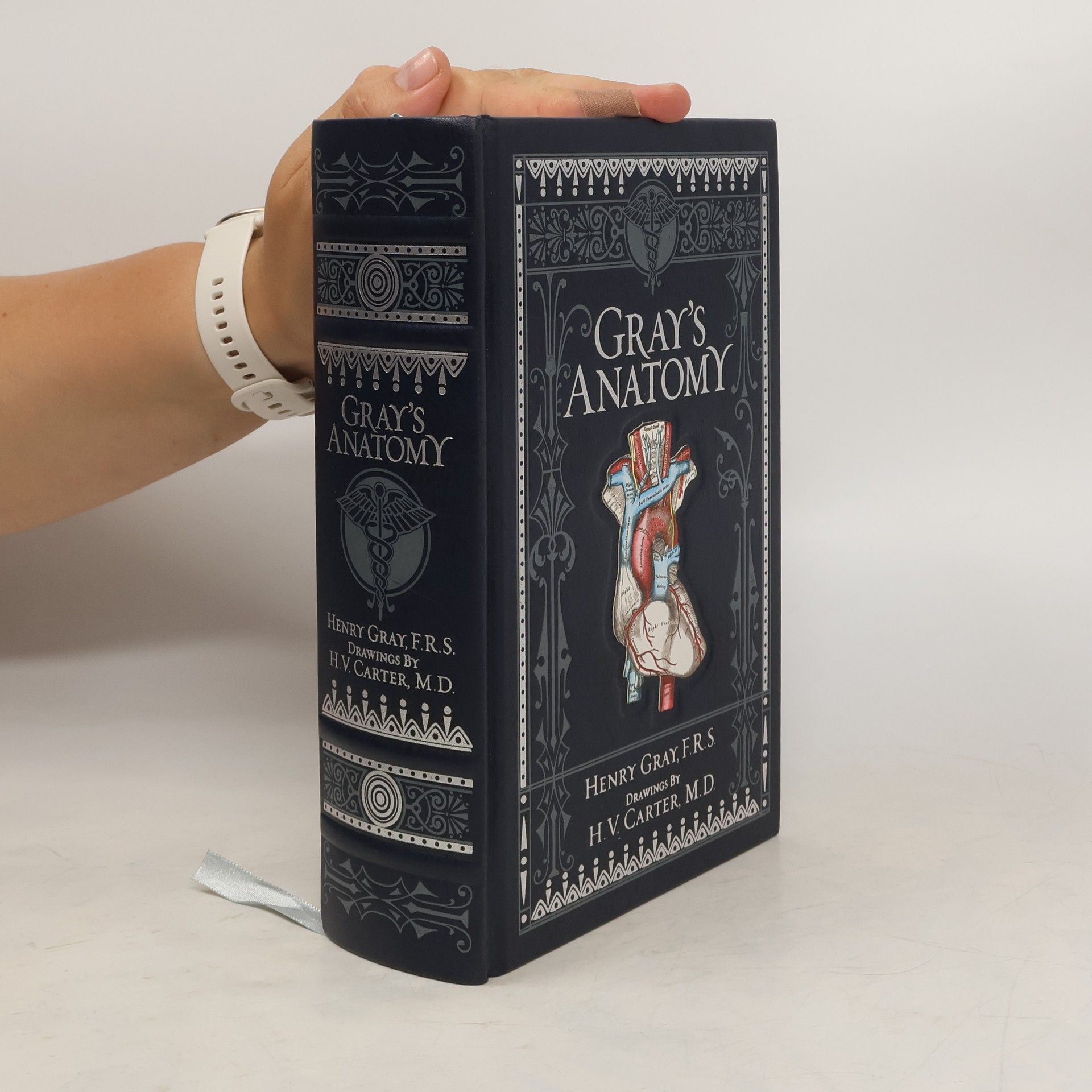 Henry Gray Gray's Anatomy