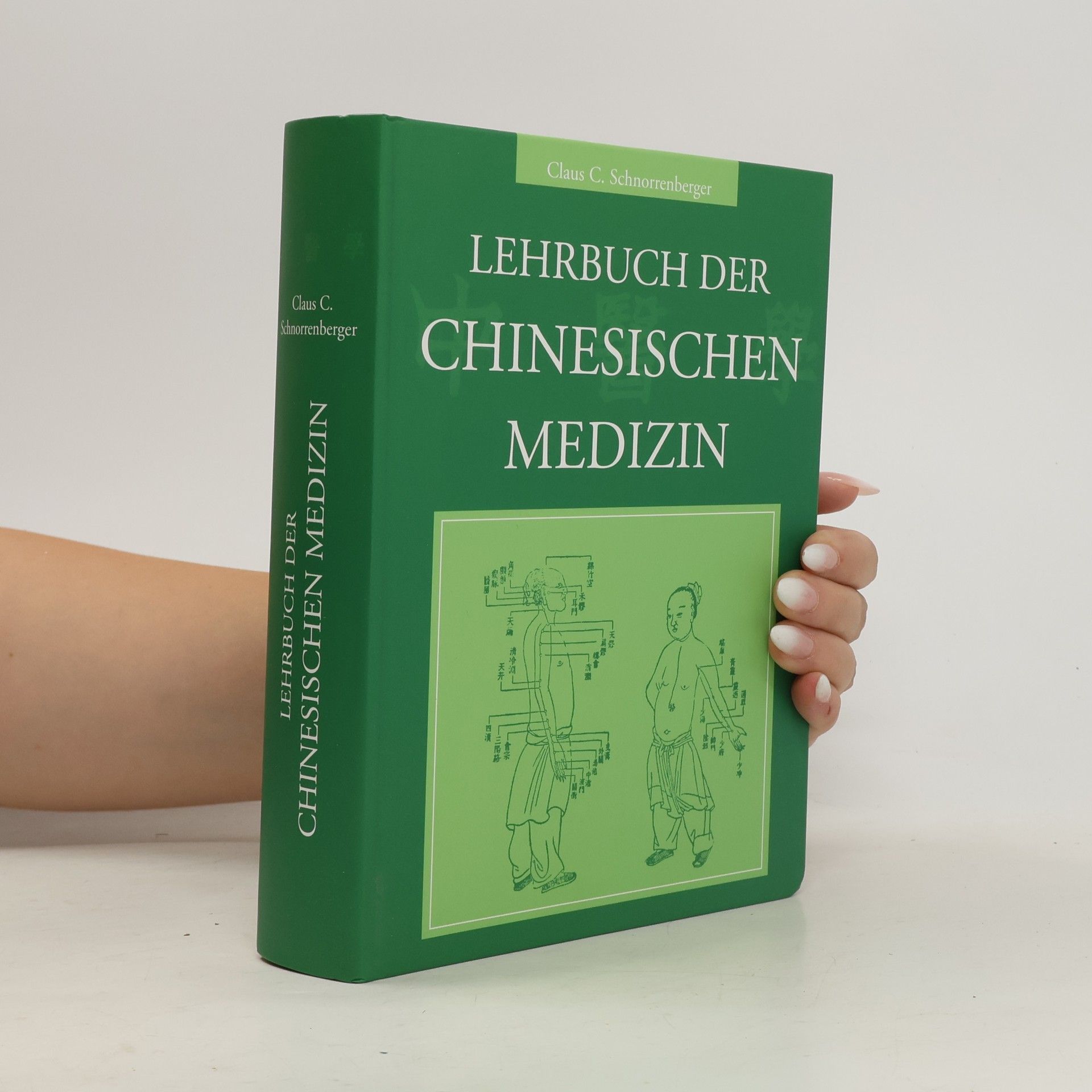 Isaac Bashevis Singer Lehrbuch der chinesischen Medizin