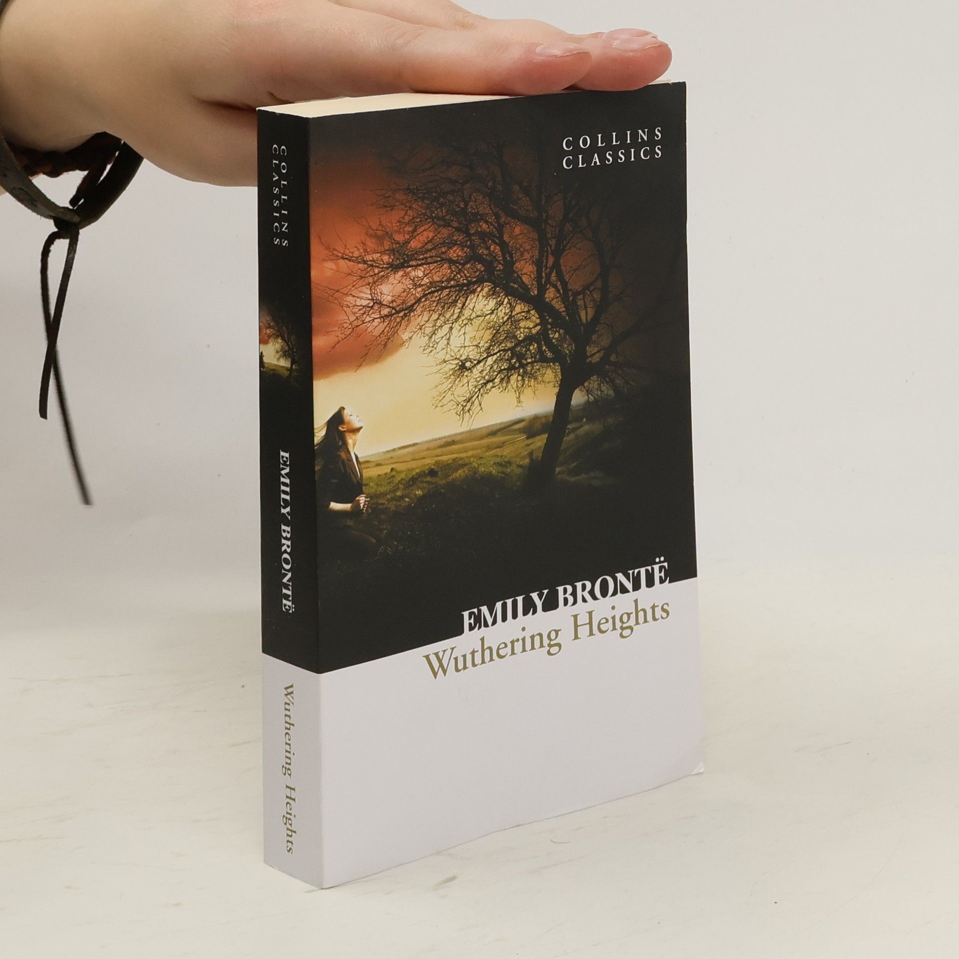 Emily Brontë Wuthering Heights