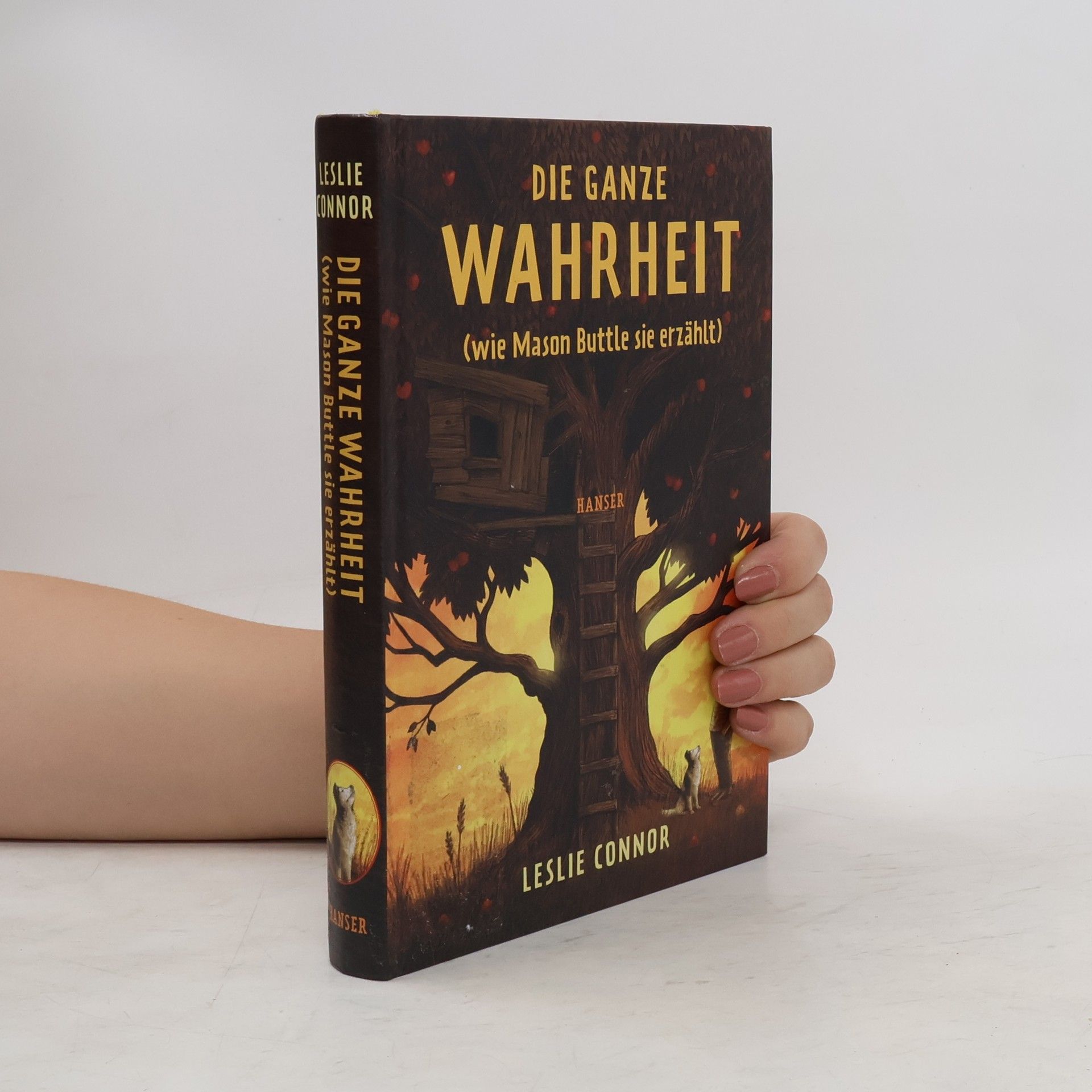 Leslie Connor Die ganze Wahrheit (wie Mason Buttle sie erzählt)