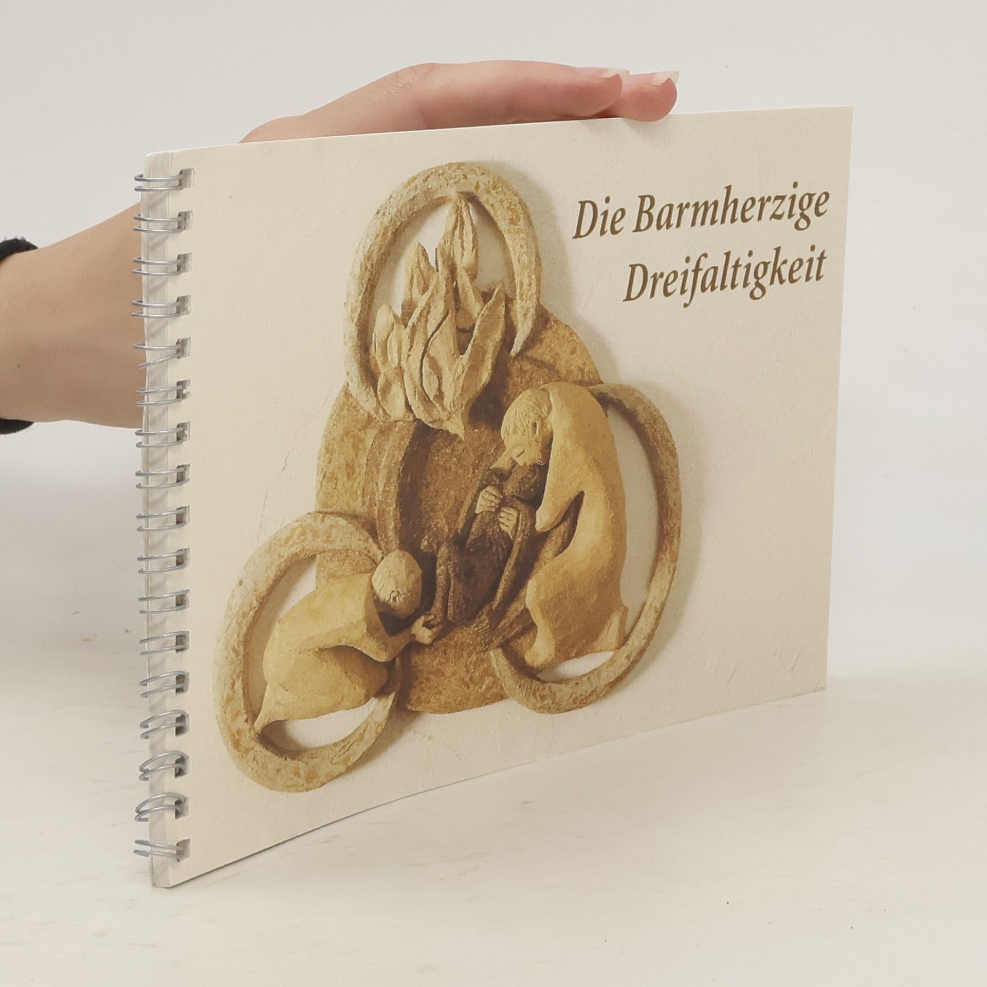 Collectif d'auteurs Die Barmherzige Dreifaltigkeit